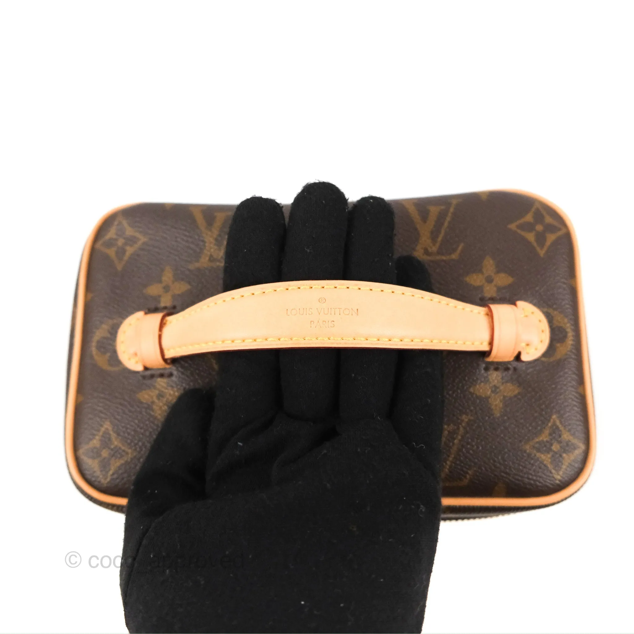 Louis Vuitton Nice Mini Monogram Canvas