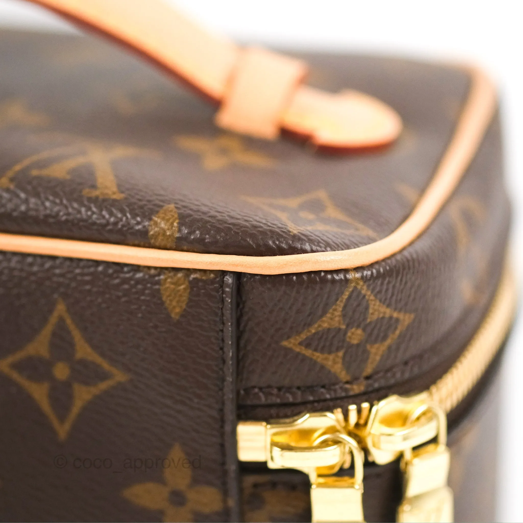 Louis Vuitton Nice Mini Monogram Canvas