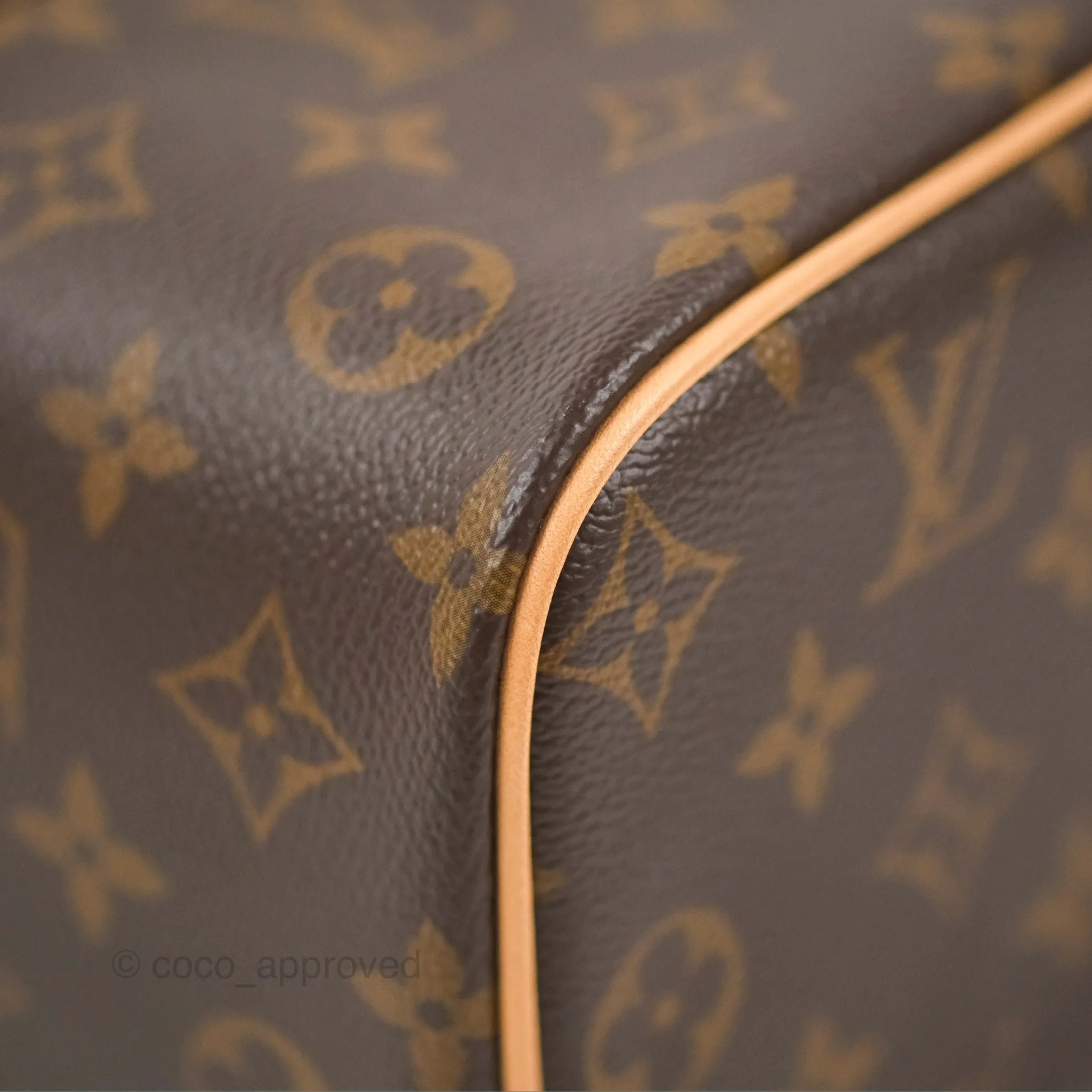 Louis Vuitton Nice Mini Monogram Canvas