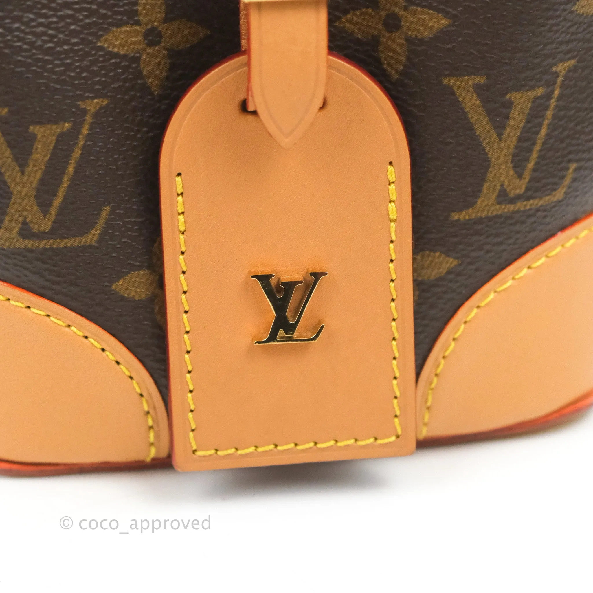 Louis Vuitton No Purse Monogram