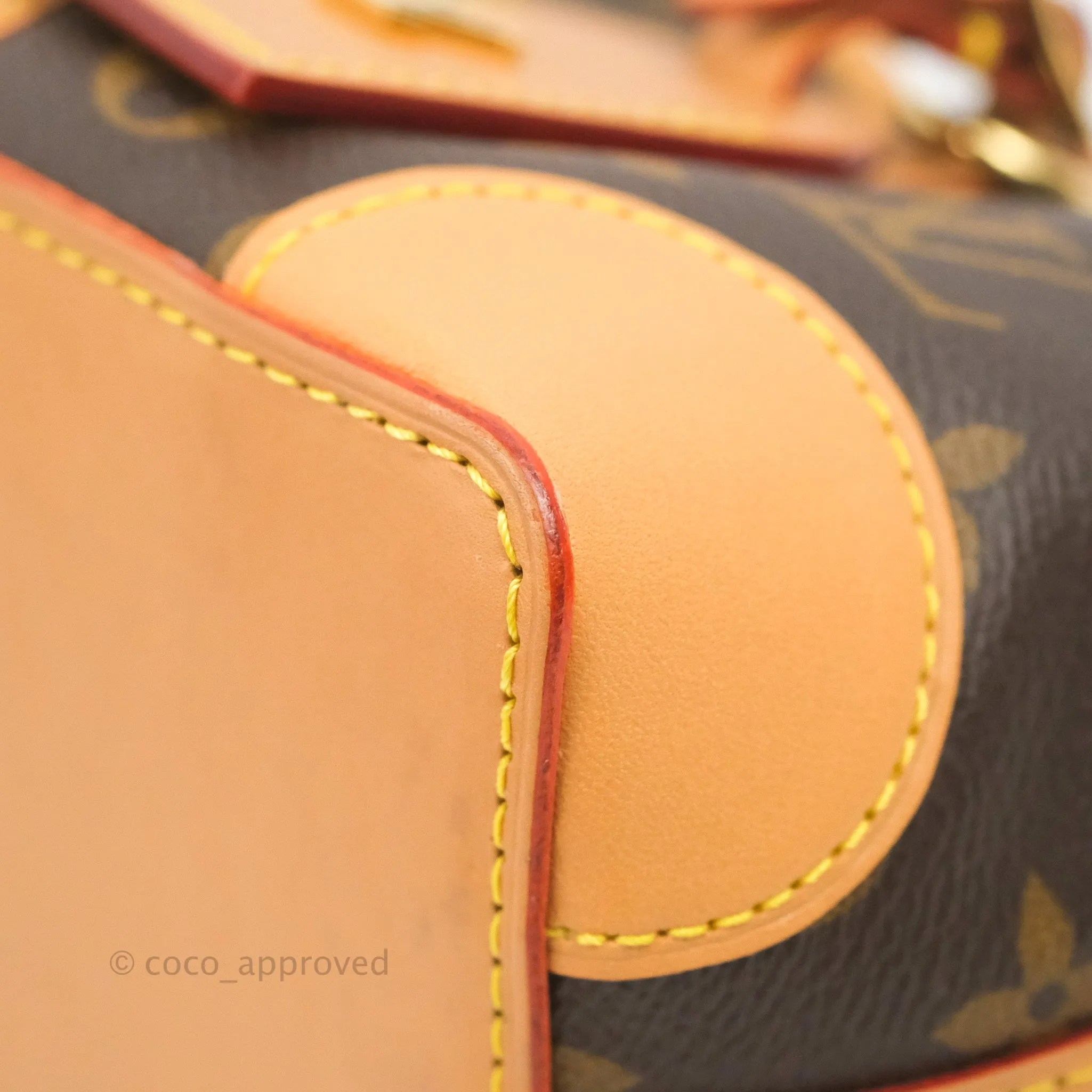 Louis Vuitton No Purse Monogram