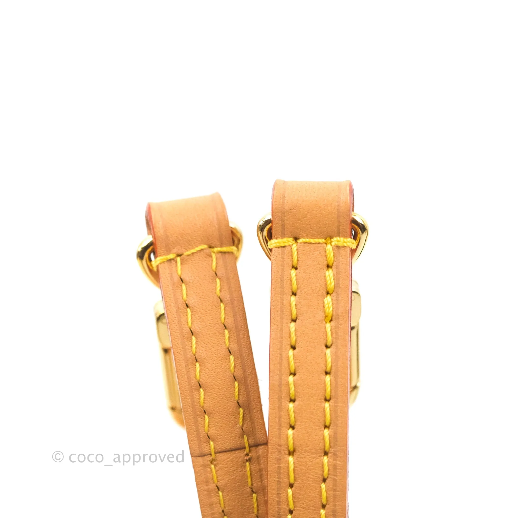 Louis Vuitton No Purse Monogram