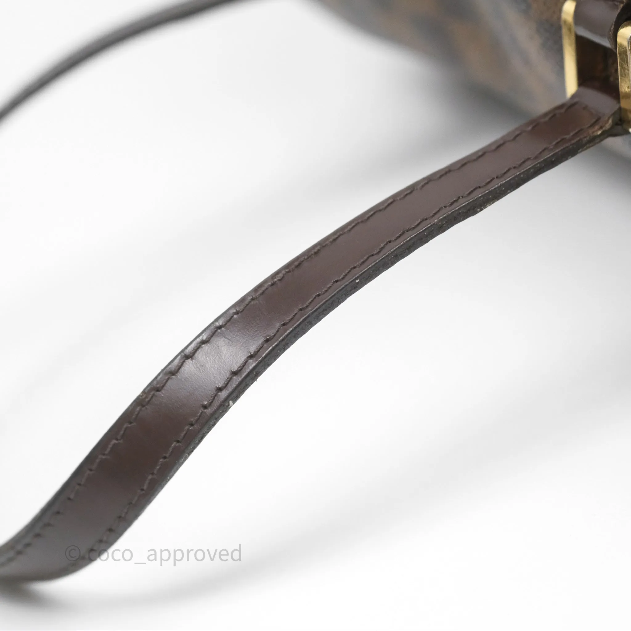 Louis Vuitton Papillon 28 Damier Ebene