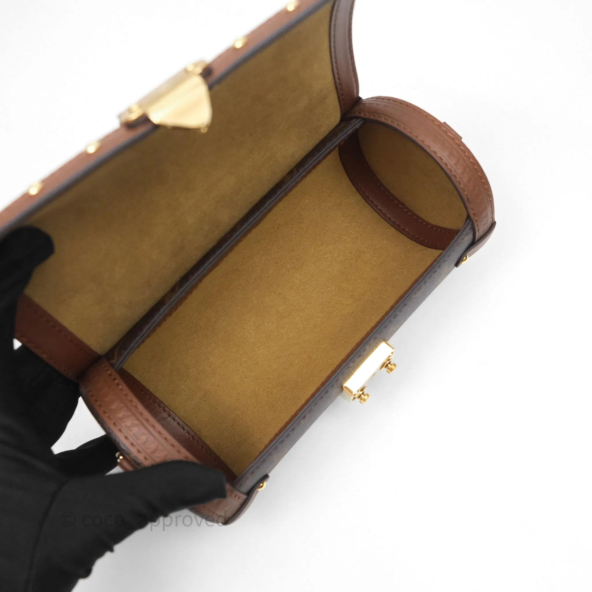 Louis Vuitton Papillon Trunk Monogram Coated Canvas
