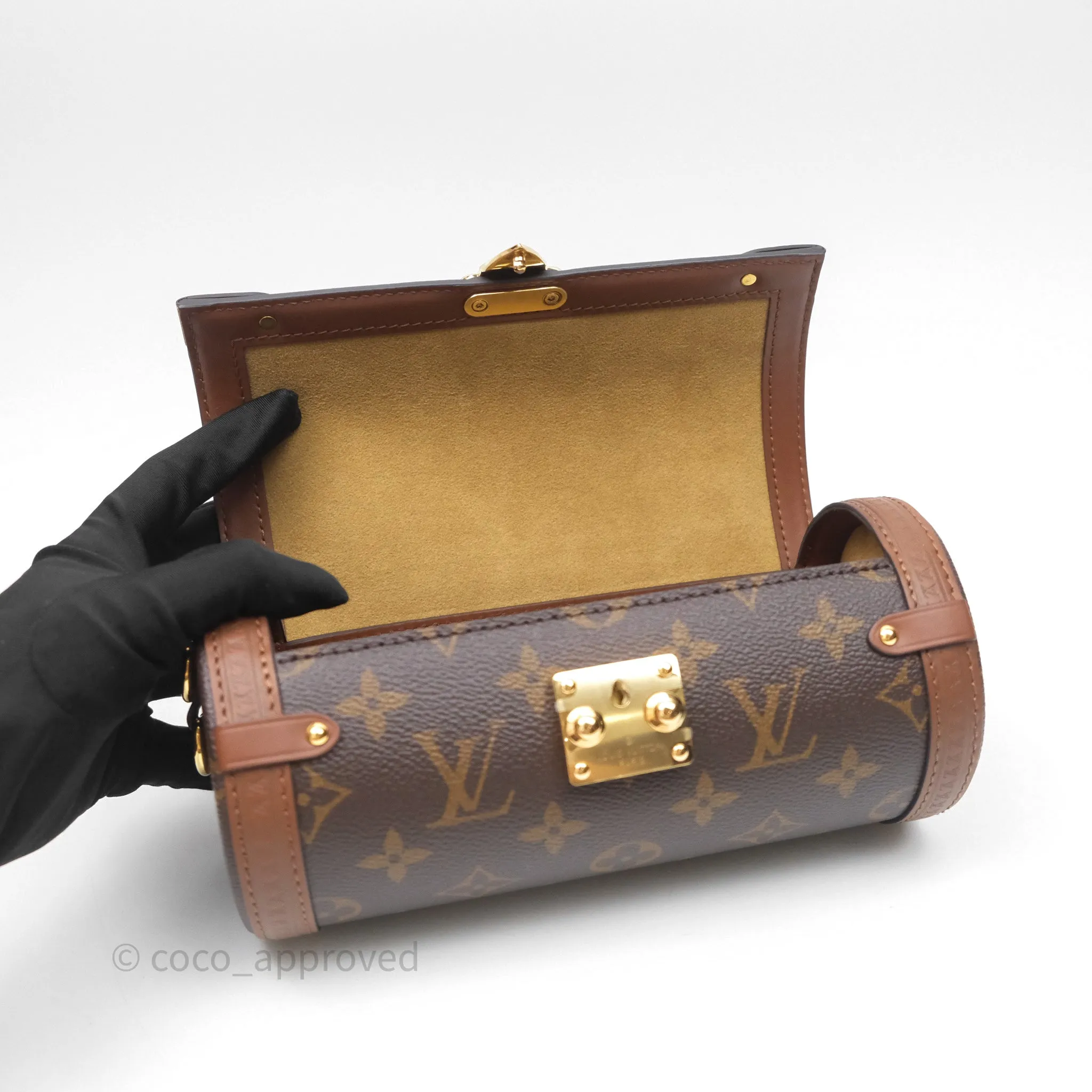Louis Vuitton Papillon Trunk Monogram Coated Canvas