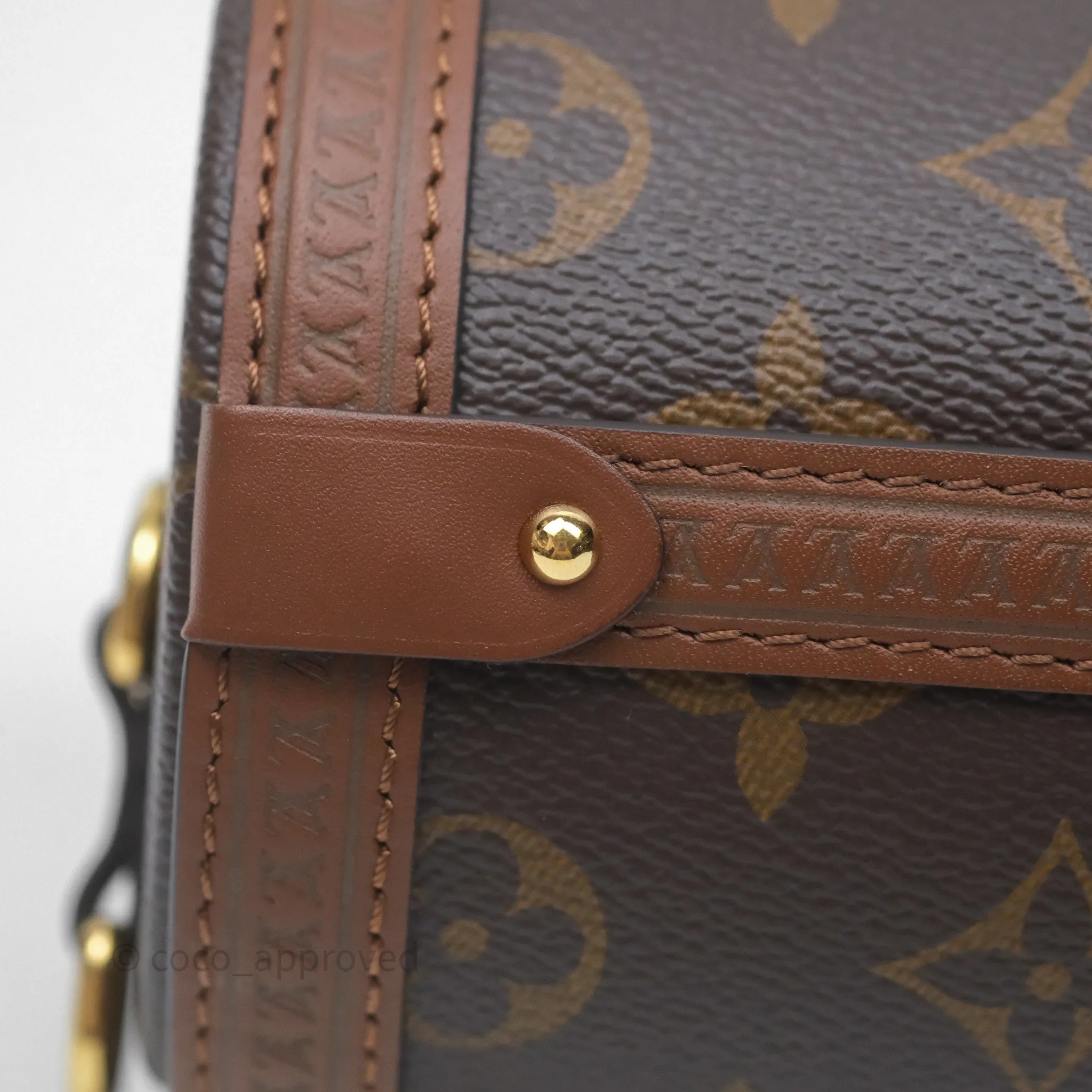 Louis Vuitton Papillon Trunk Monogram Coated Canvas