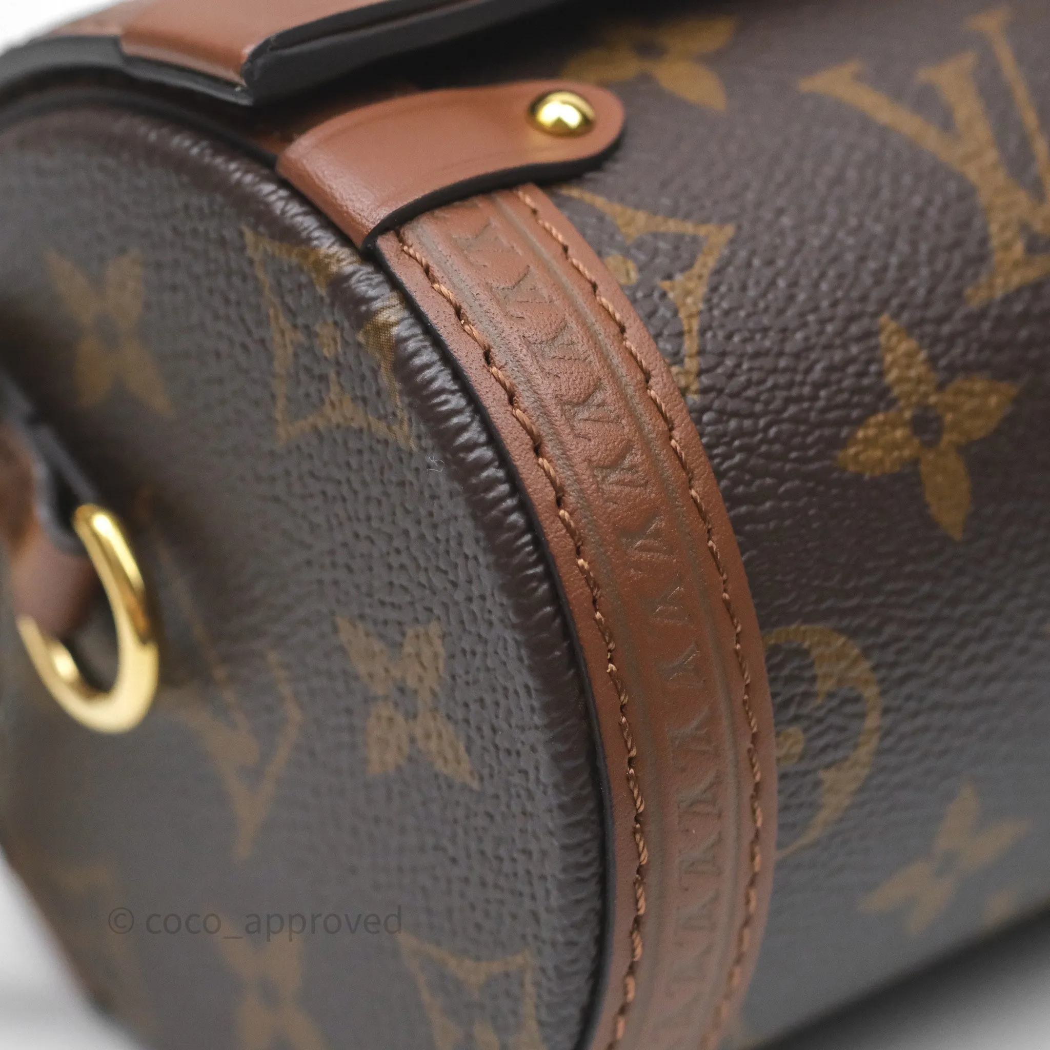 Louis Vuitton Papillon Trunk Monogram Coated Canvas
