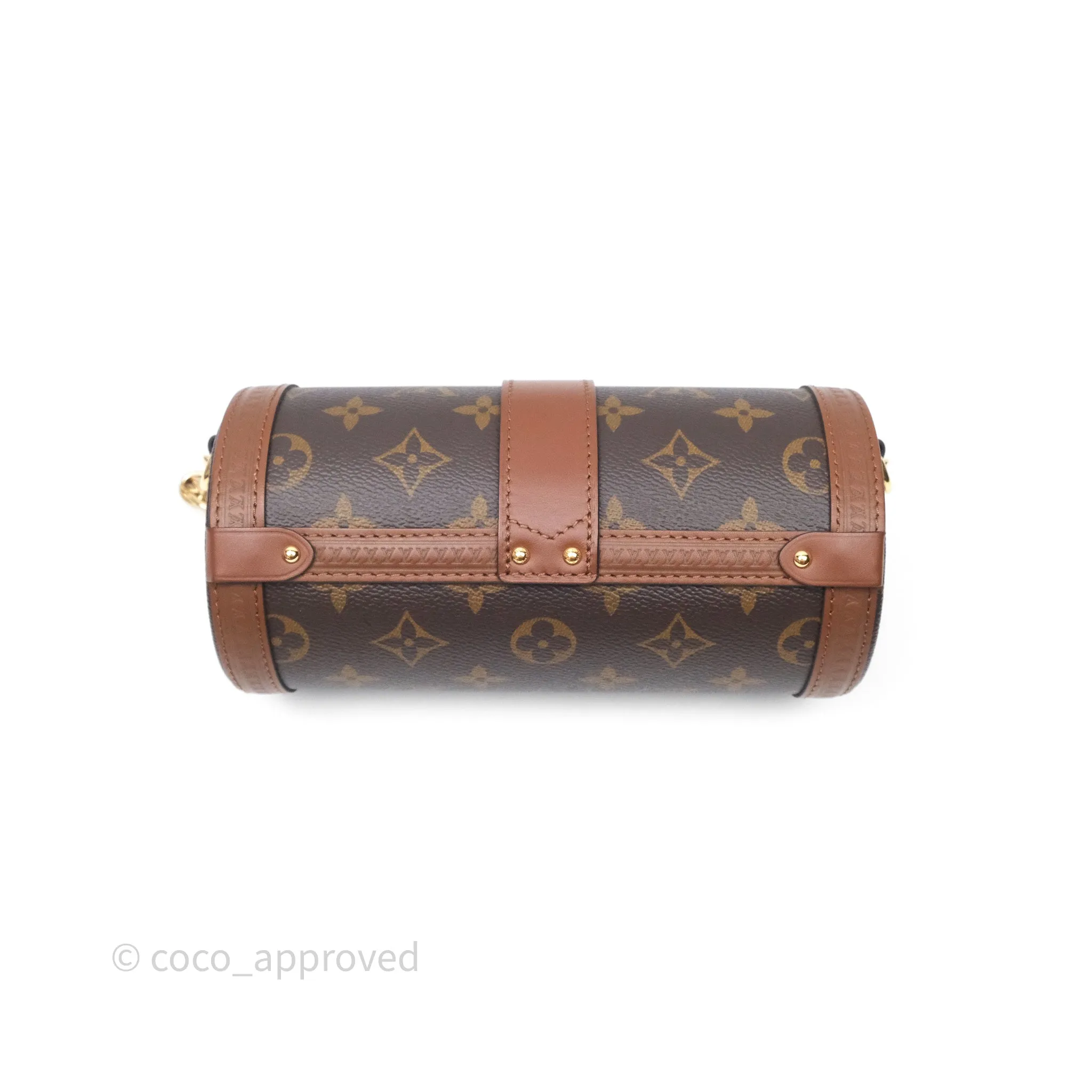 Louis Vuitton Papillon Trunk Monogram Coated Canvas