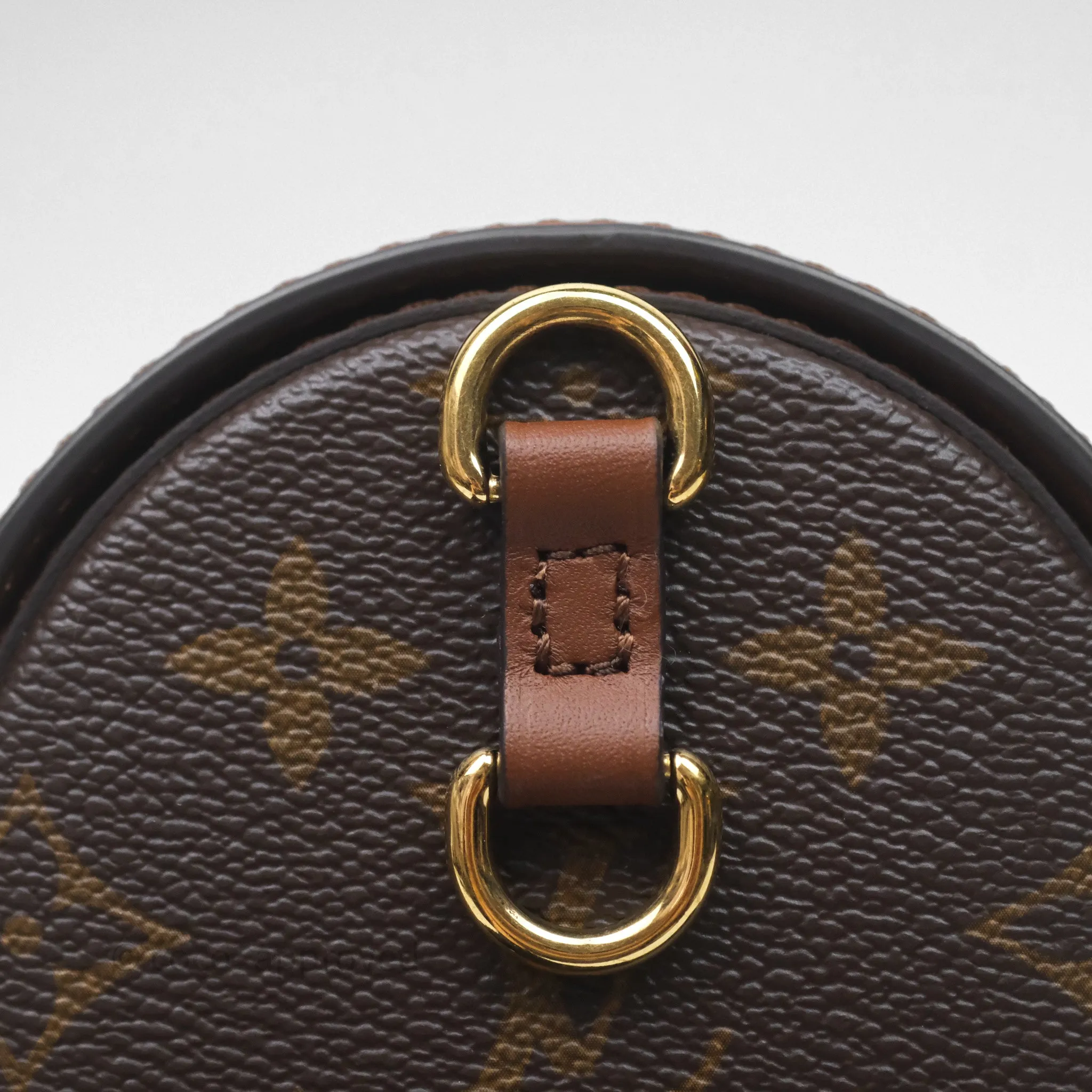 Louis Vuitton Papillon Trunk Monogram Coated Canvas