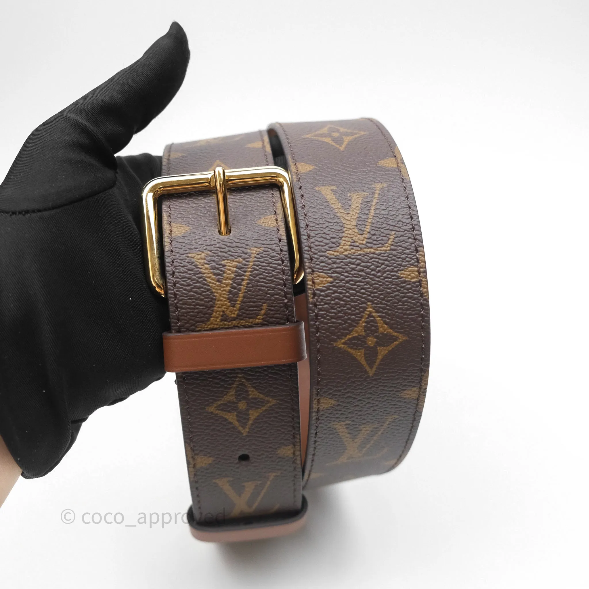 Louis Vuitton Papillon Trunk Monogram Coated Canvas