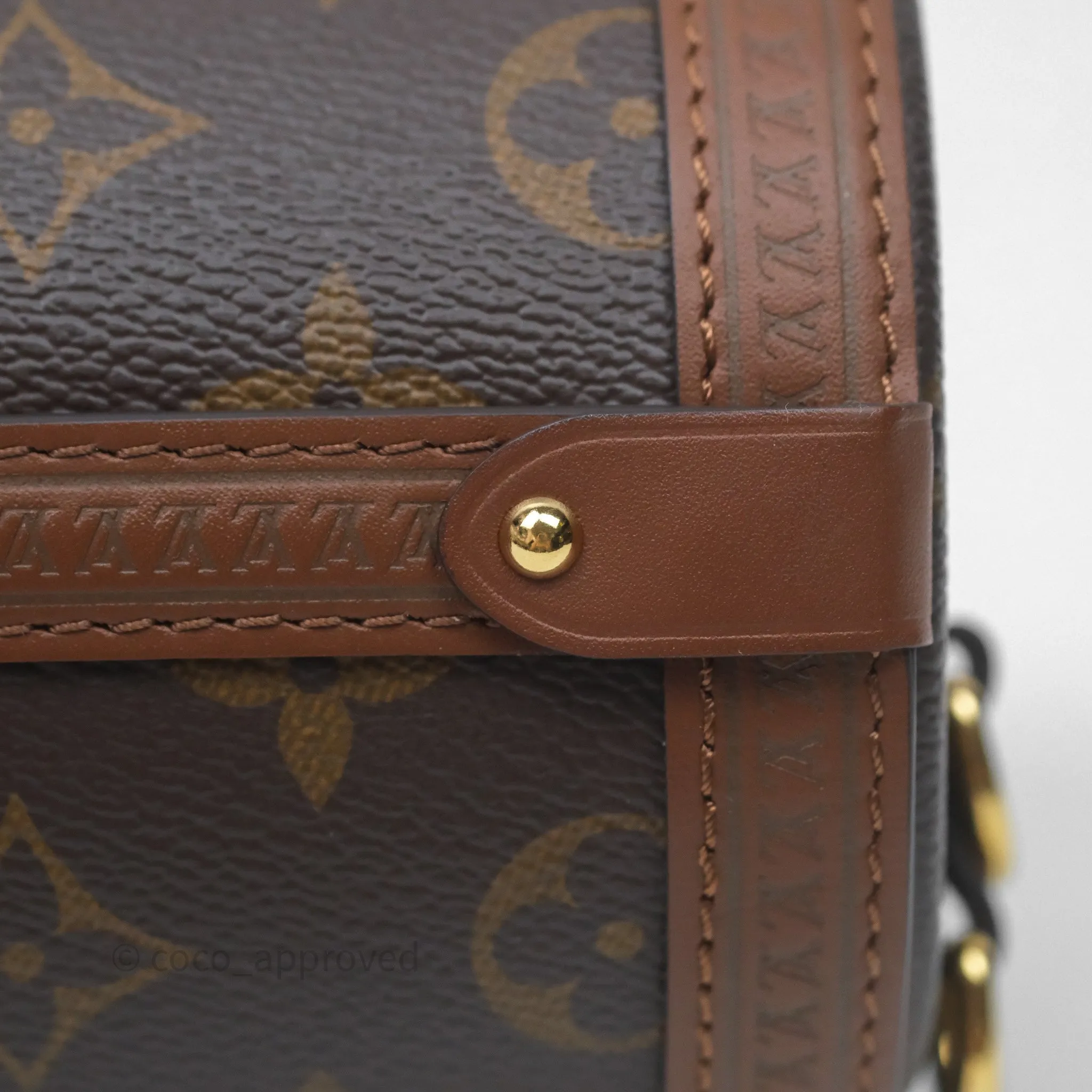 Louis Vuitton Papillon Trunk Monogram Coated Canvas
