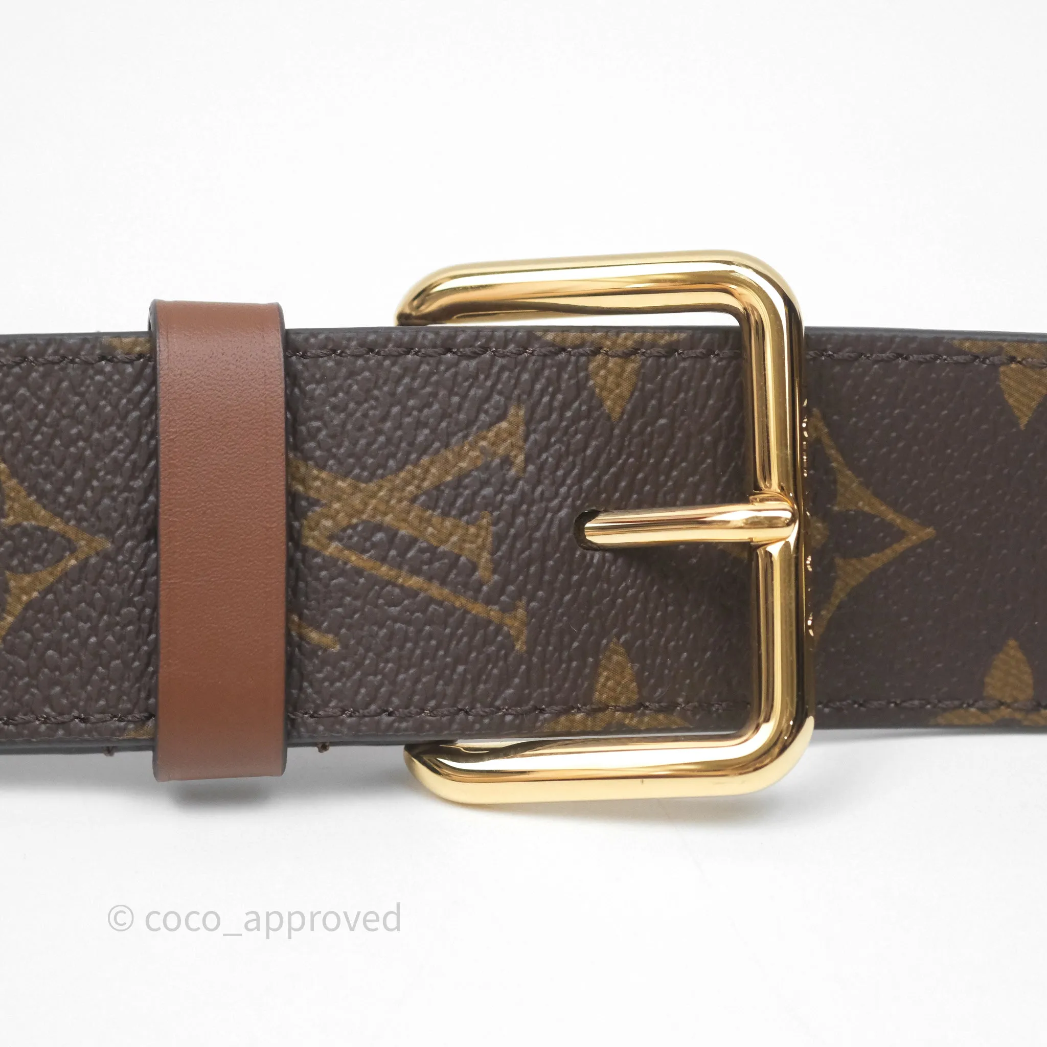 Louis Vuitton Papillon Trunk Monogram Coated Canvas