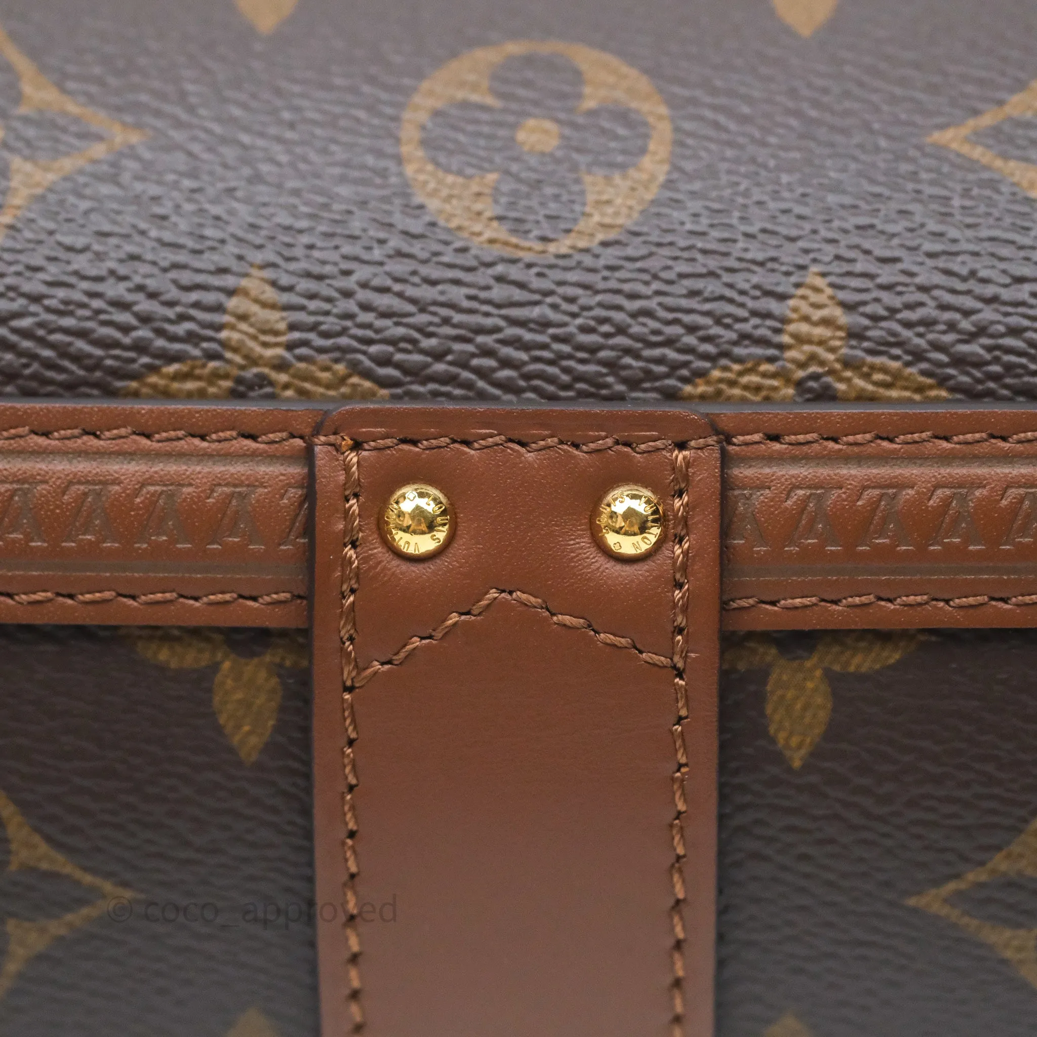Louis Vuitton Papillon Trunk Monogram Coated Canvas