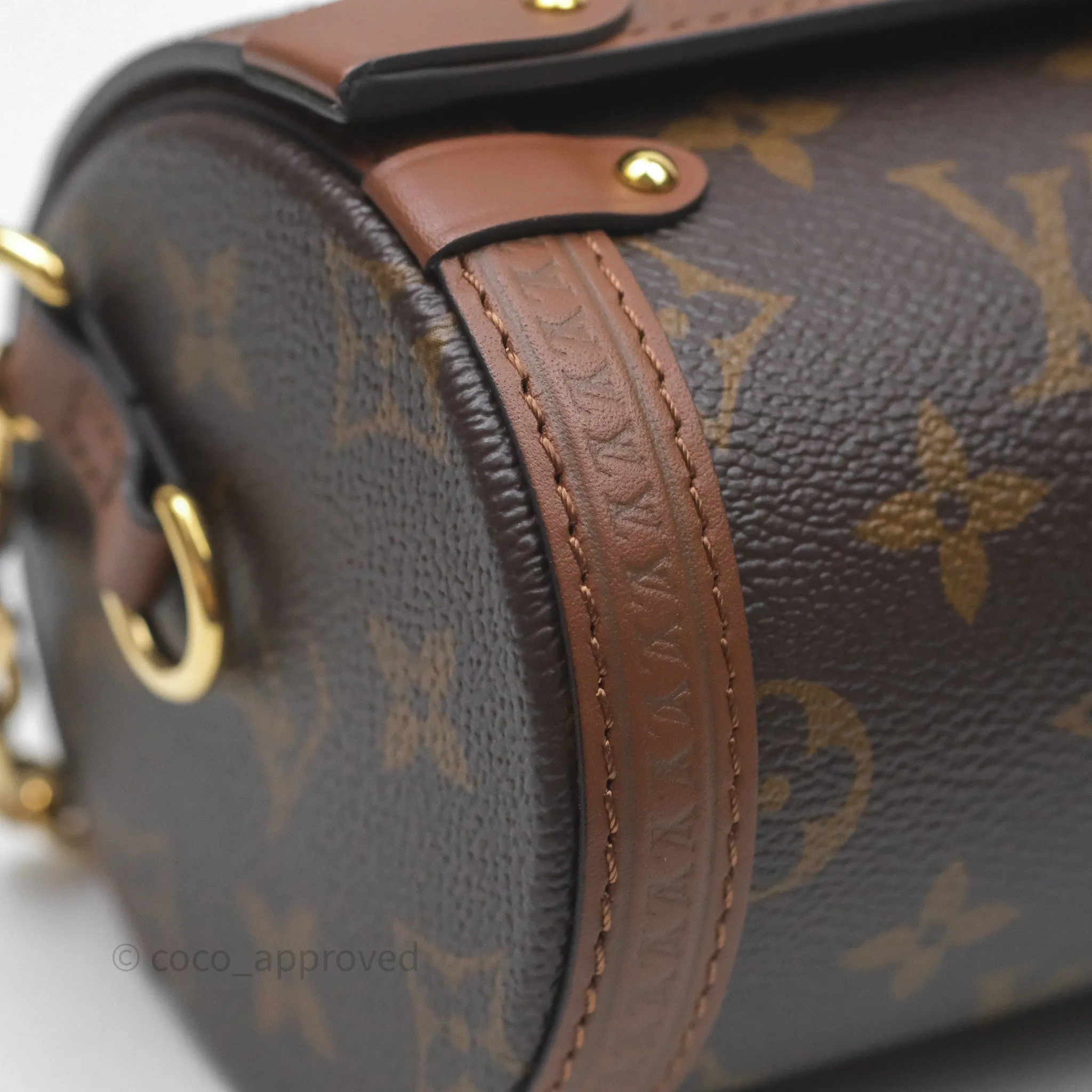 Louis Vuitton Papillon Trunk Monogram Coated Canvas