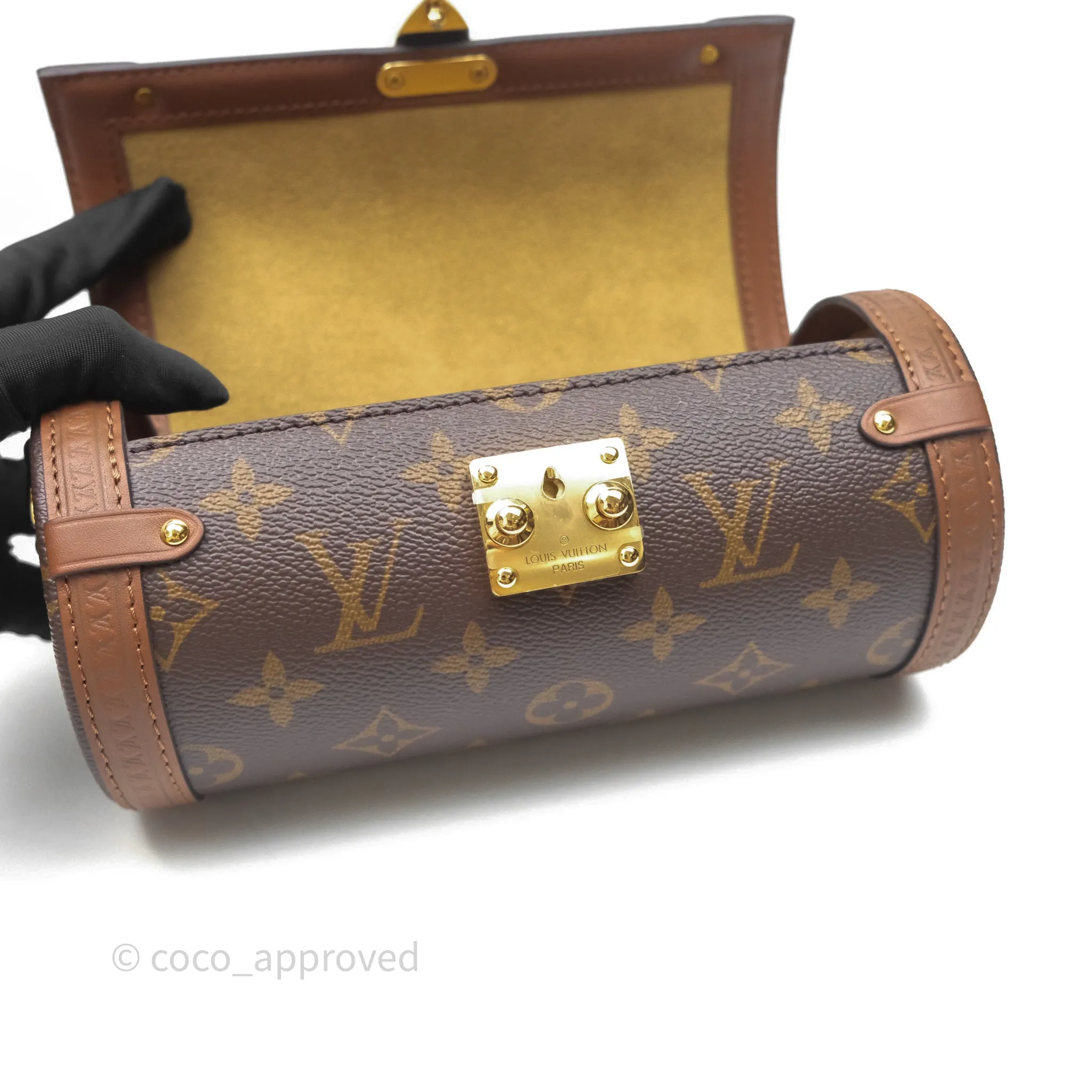 Louis Vuitton Papillon Trunk Monogram Coated Canvas