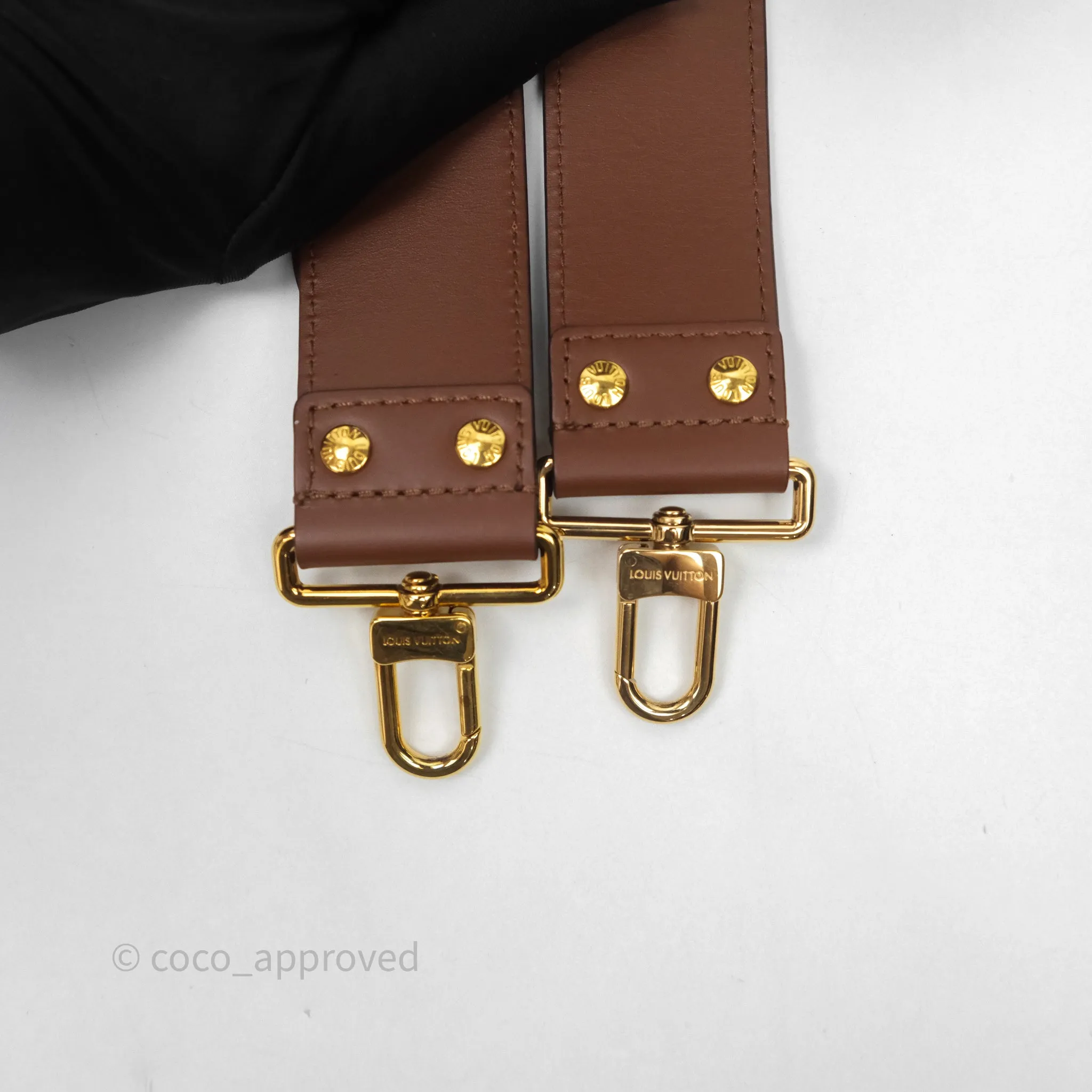 Louis Vuitton Papillon Trunk Monogram Coated Canvas