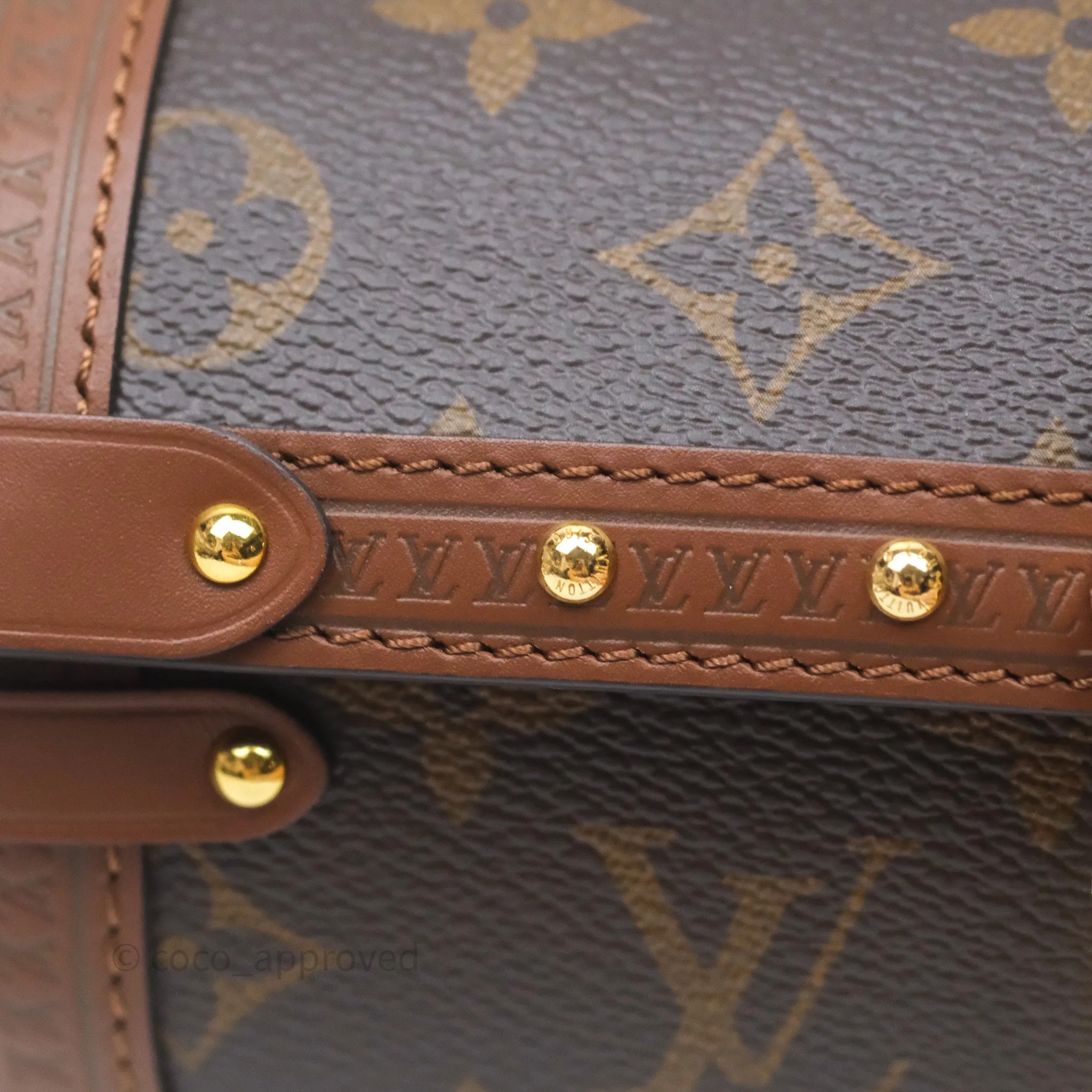 Louis Vuitton Papillon Trunk Monogram Coated Canvas