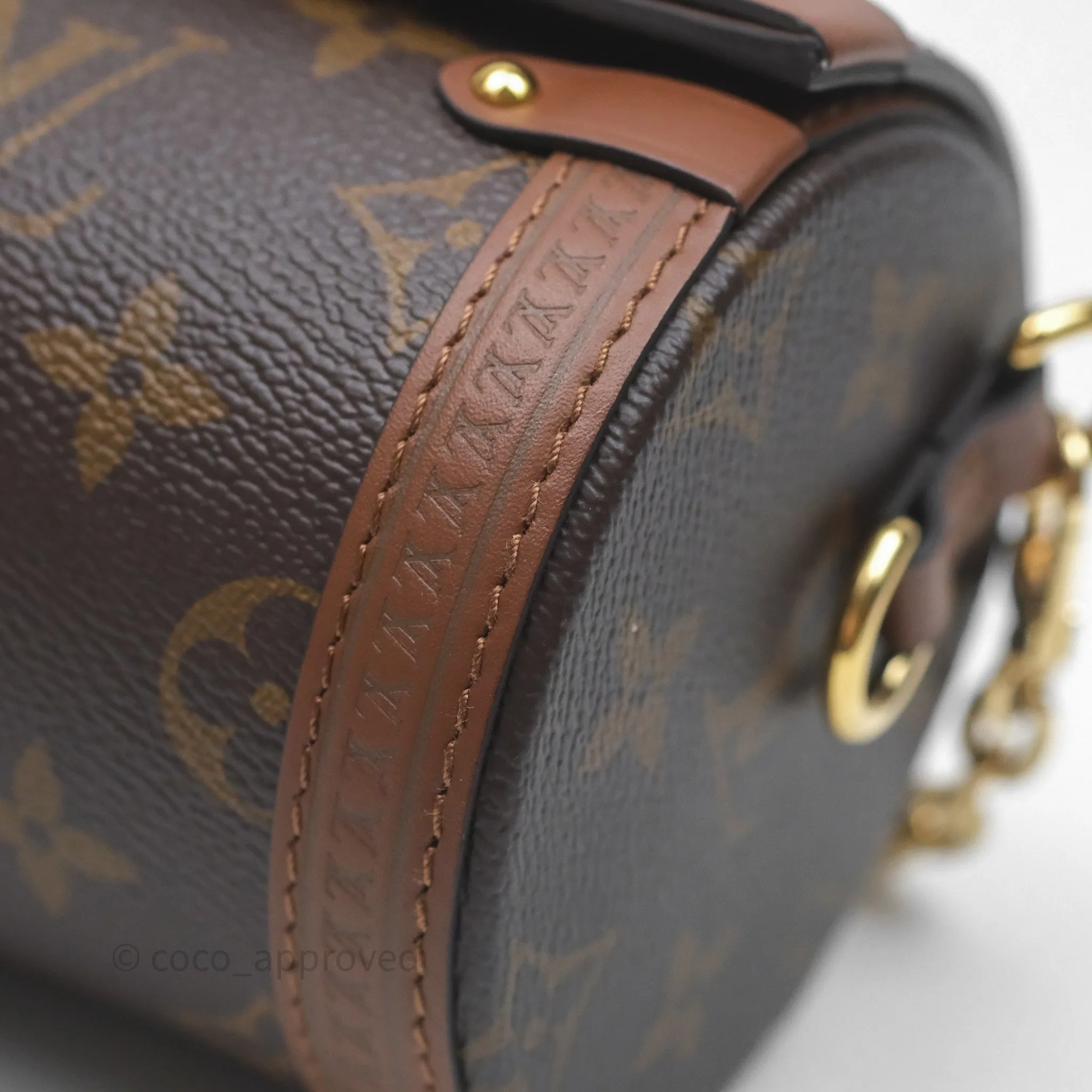 Louis Vuitton Papillon Trunk Monogram Coated Canvas