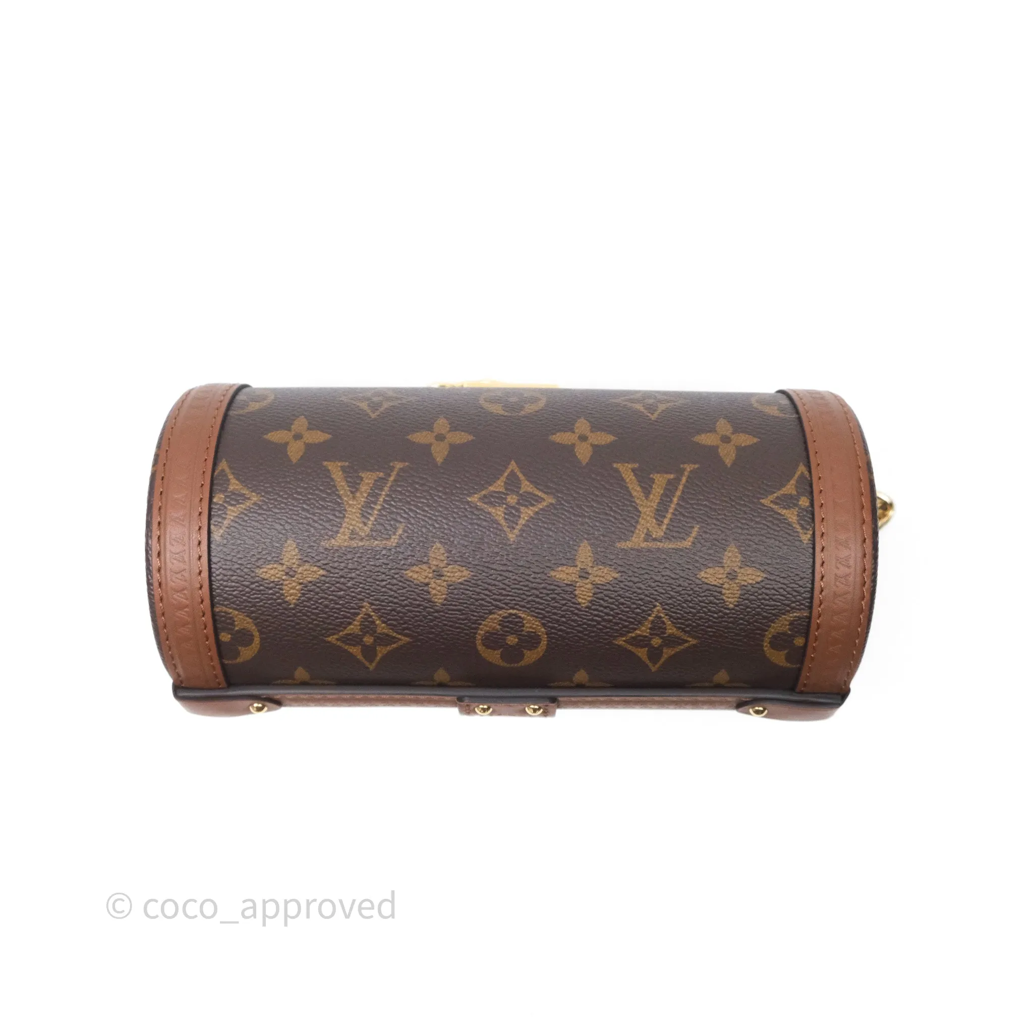 Louis Vuitton Papillon Trunk Monogram Coated Canvas