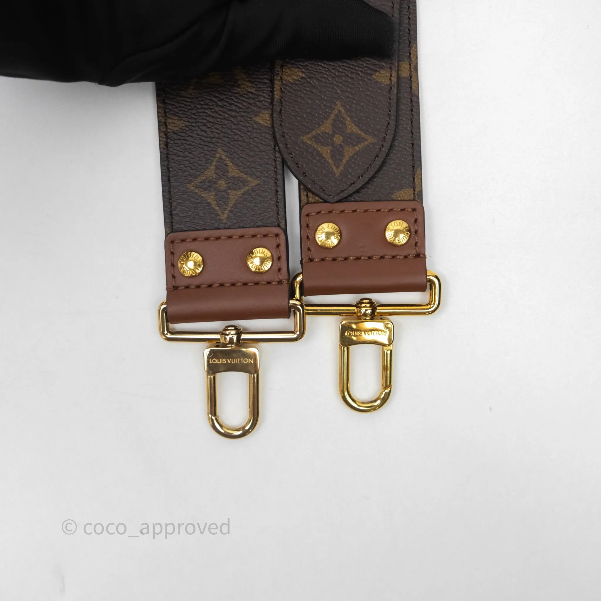 Louis Vuitton Papillon Trunk Monogram Coated Canvas