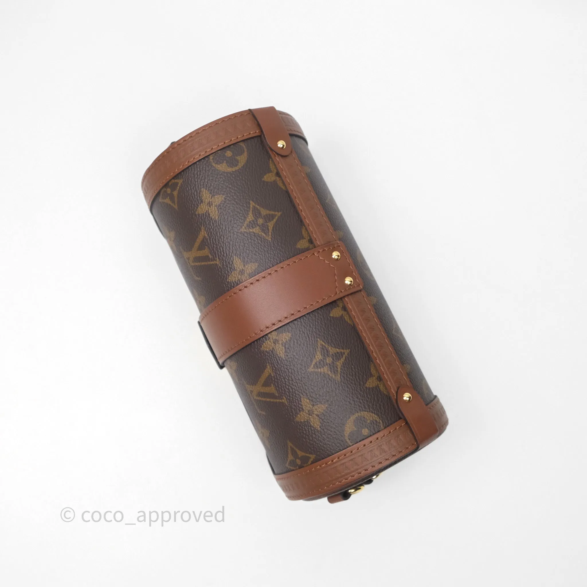 Louis Vuitton Papillon Trunk Monogram Coated Canvas