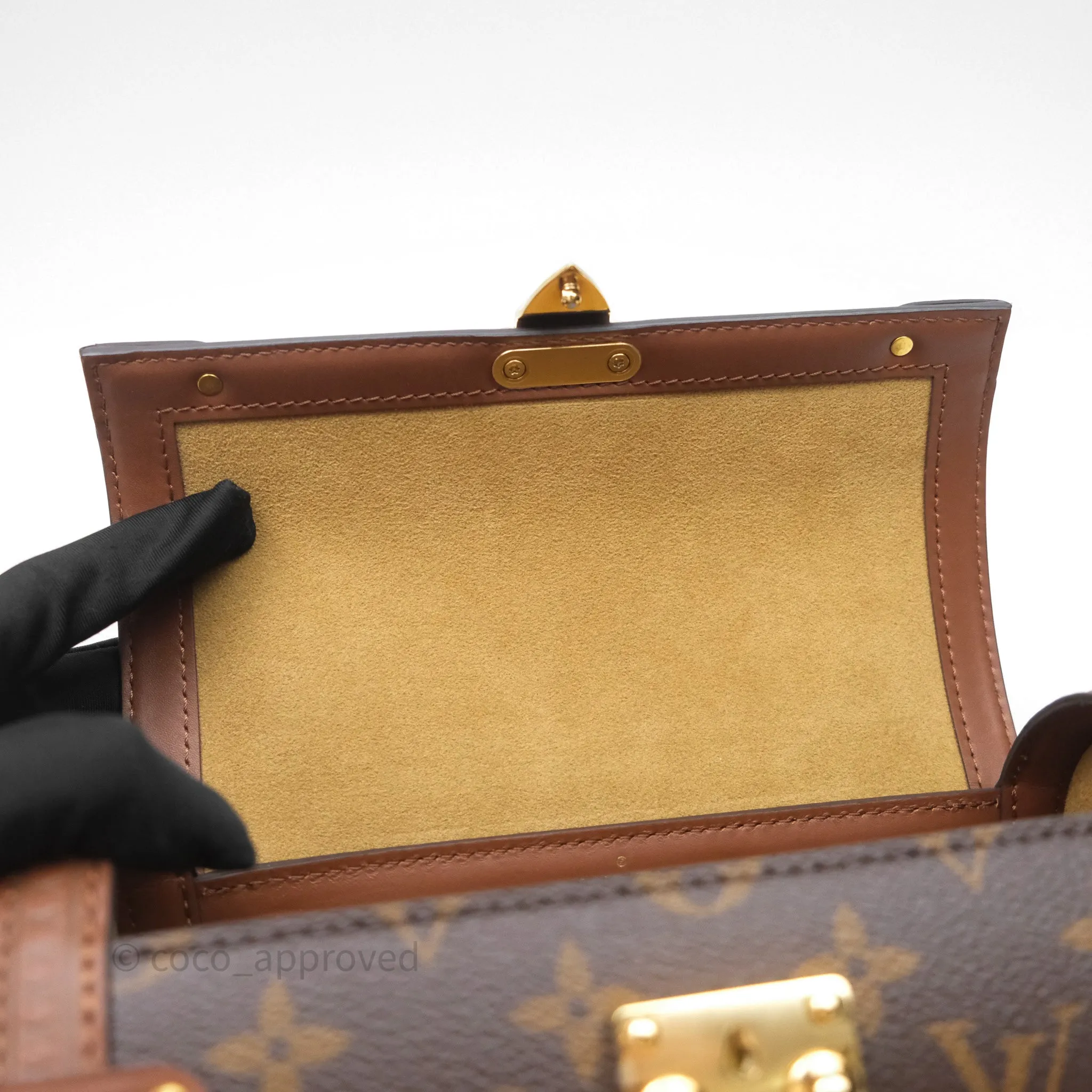 Louis Vuitton Papillon Trunk Monogram Coated Canvas