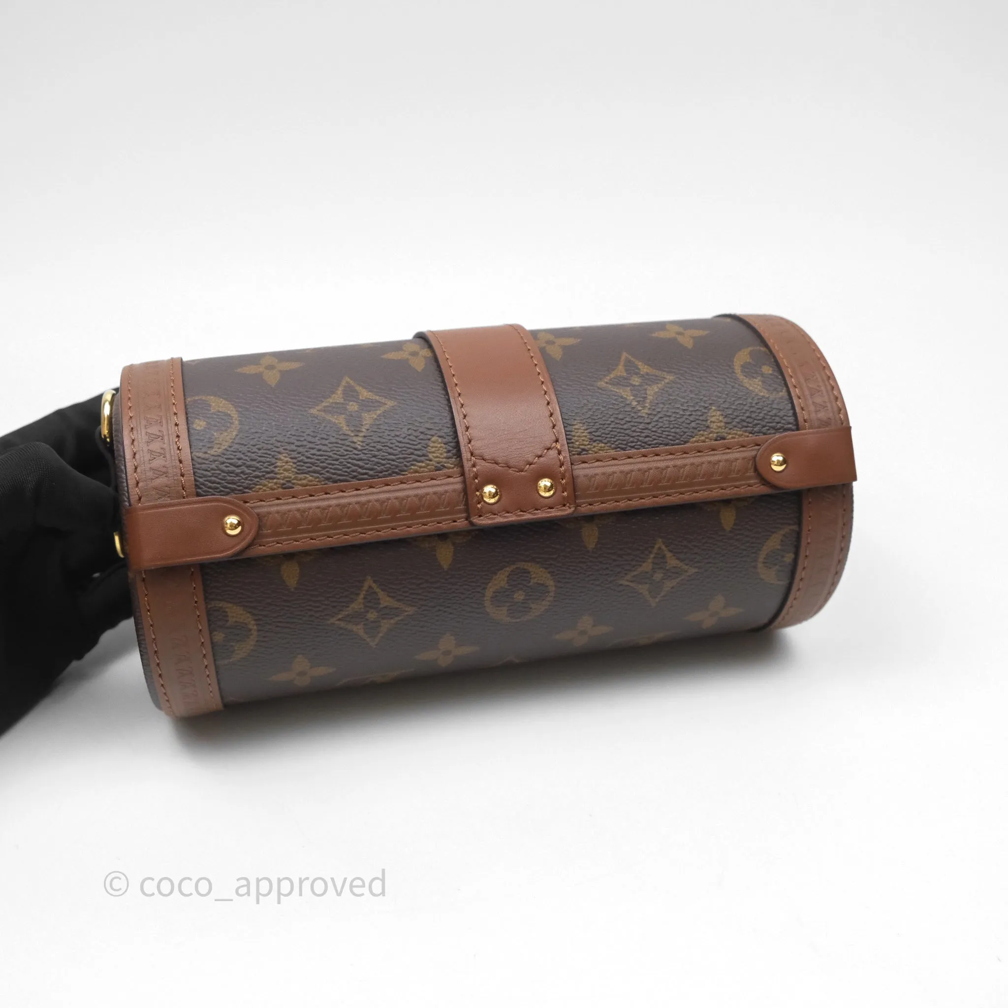 Louis Vuitton Papillon Trunk Monogram Coated Canvas
