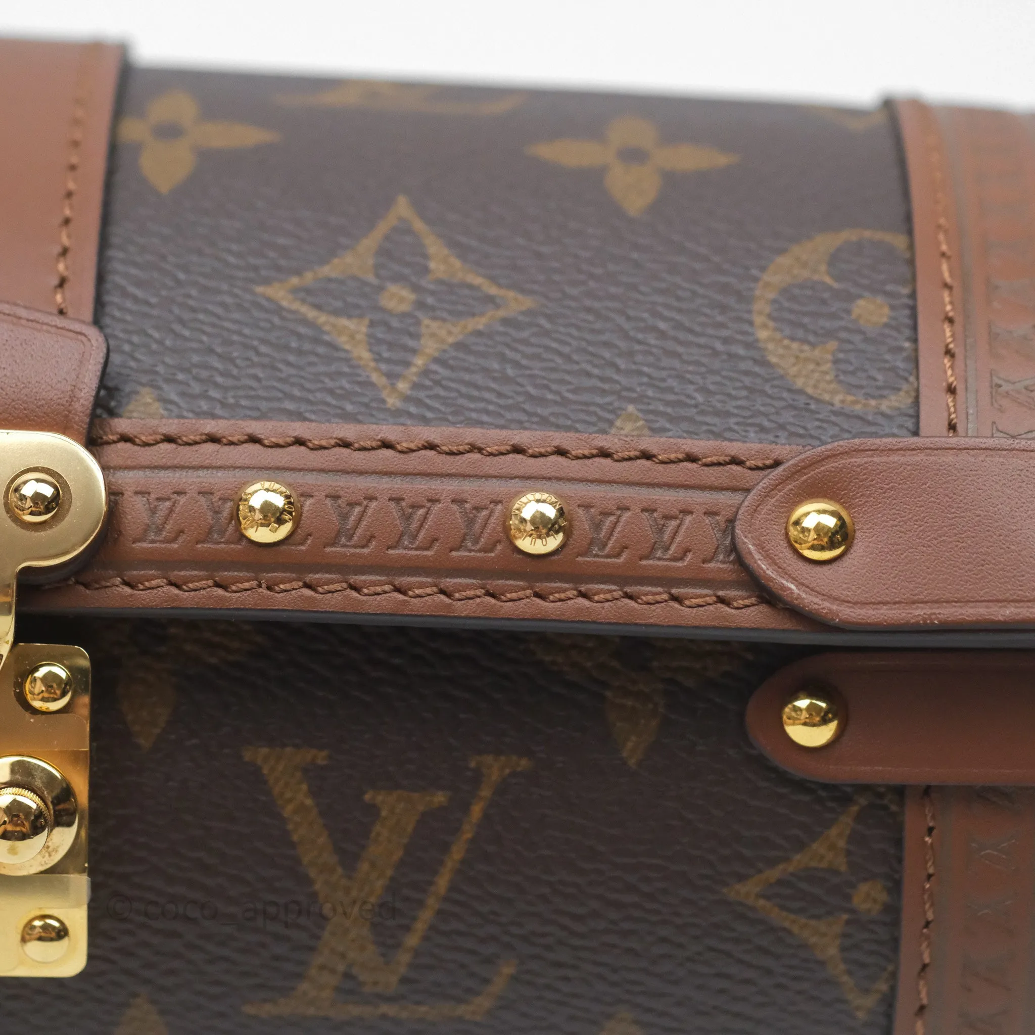 Louis Vuitton Papillon Trunk Monogram Coated Canvas