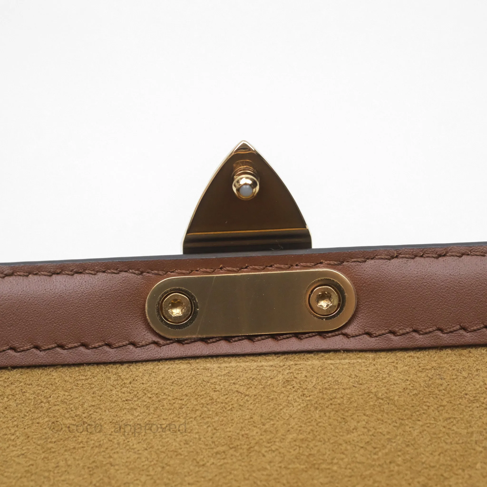 Louis Vuitton Papillon Trunk Monogram Coated Canvas