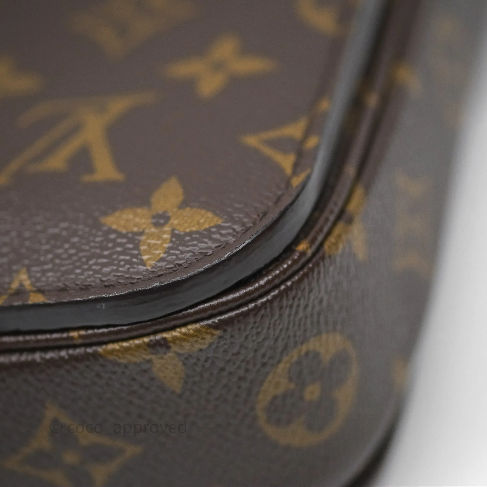 Louis Vuitton Pochette Metis Monogram Canvas