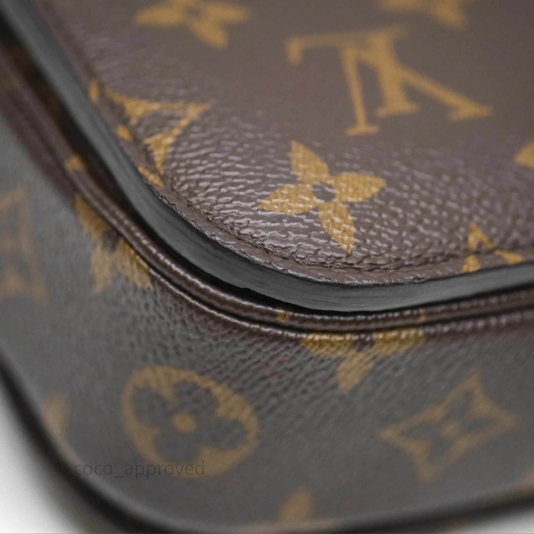 Louis Vuitton Pochette Metis Monogram Canvas