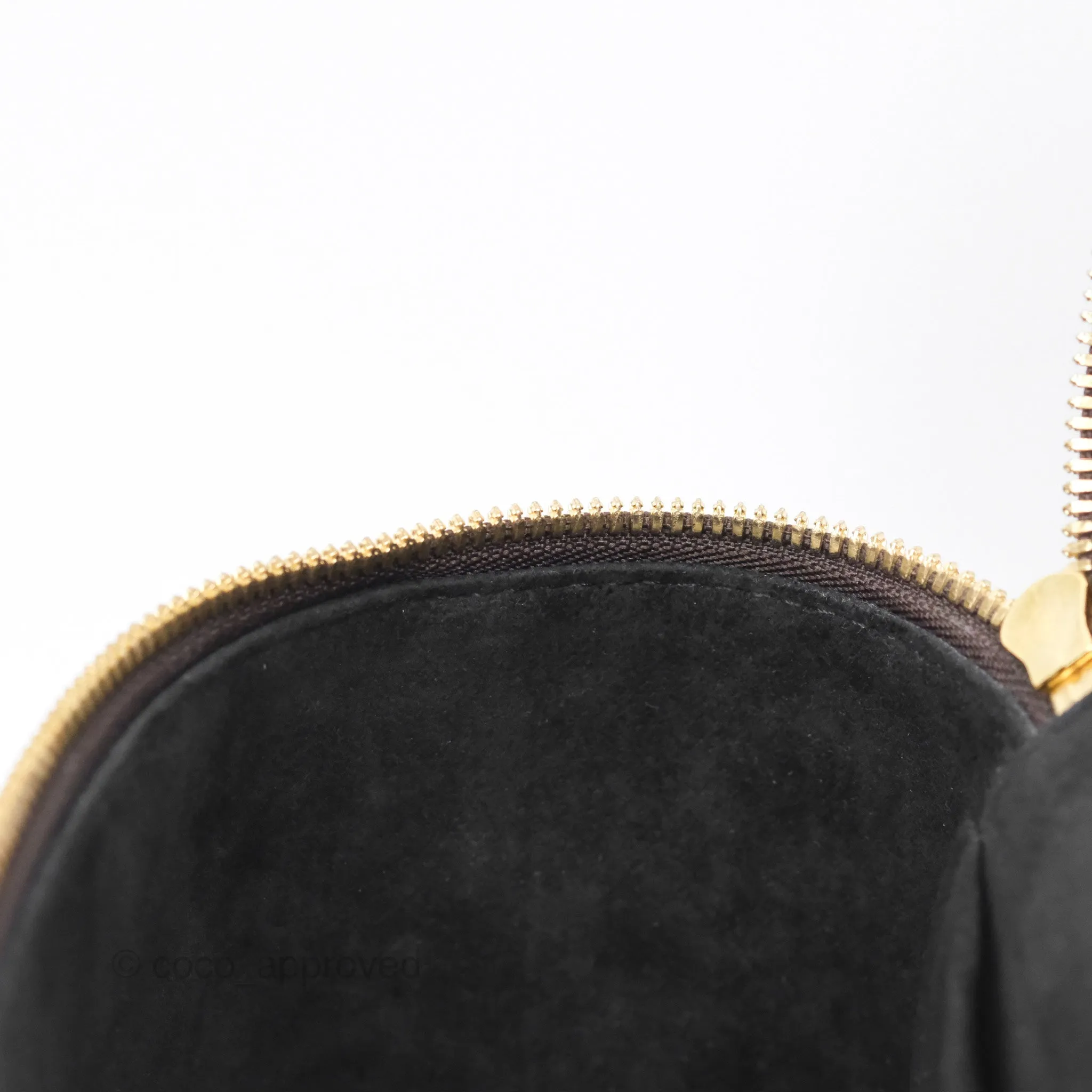Louis Vuitton Reverse Monogram Vanity PM