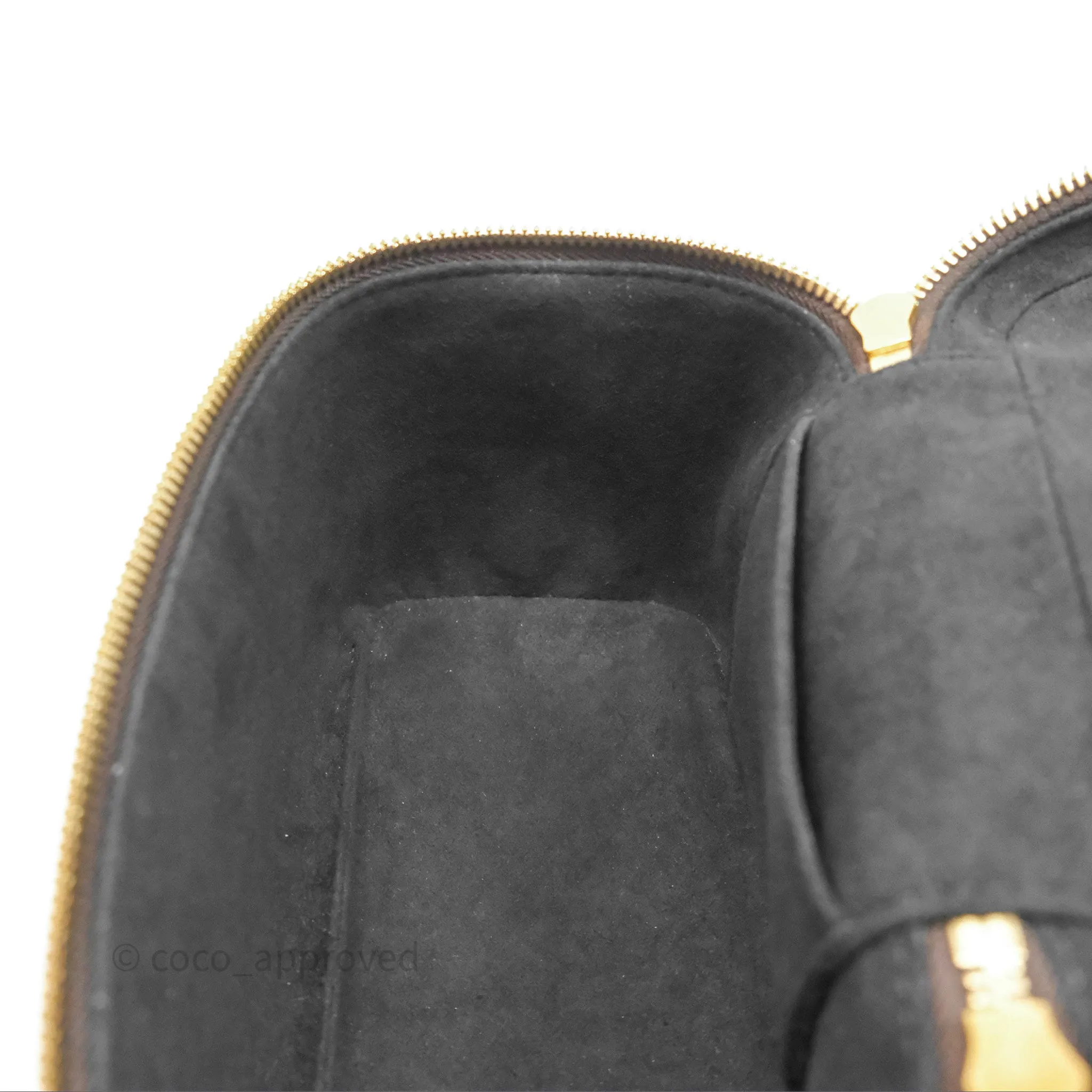 Louis Vuitton Reverse Monogram Vanity PM