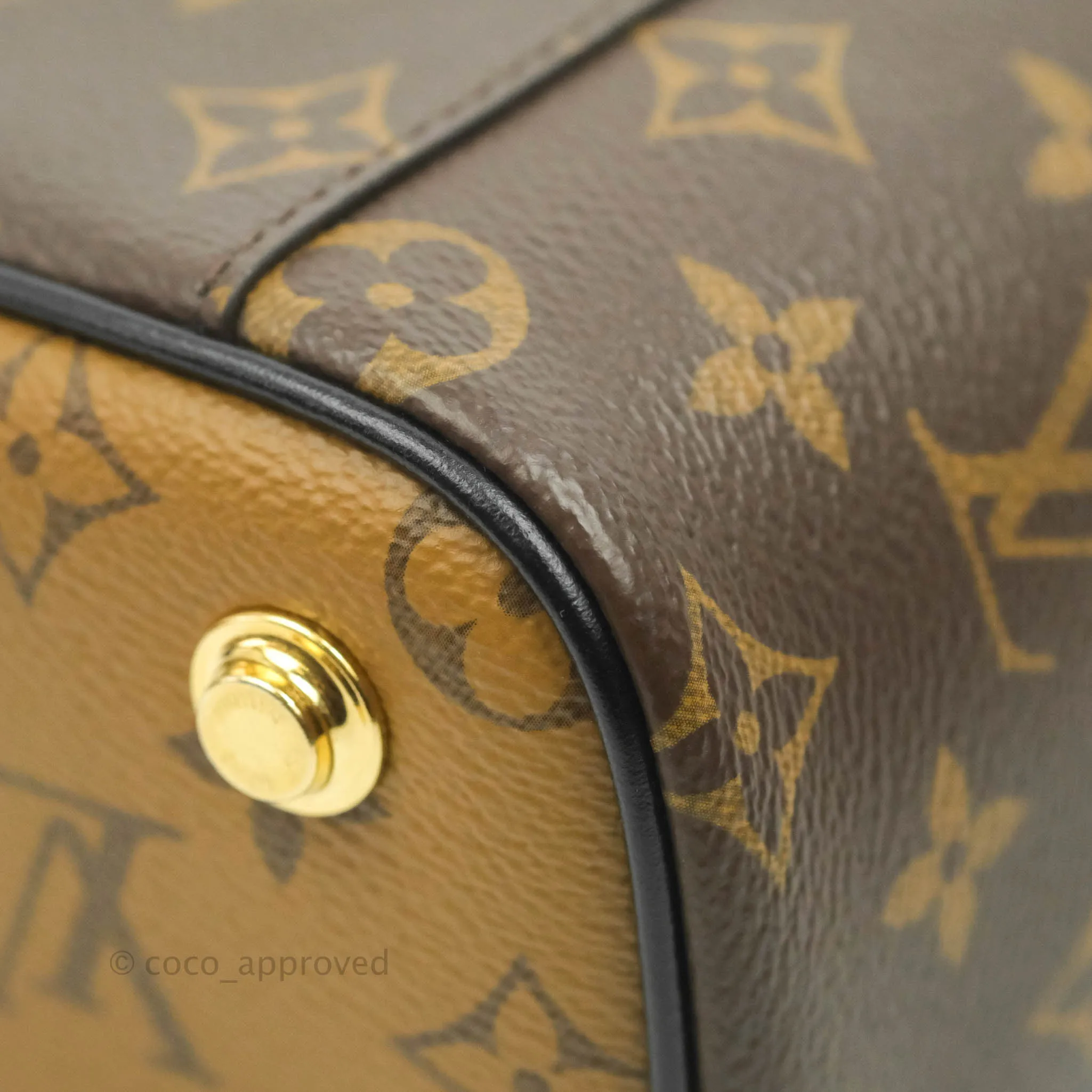 Louis Vuitton Reverse Monogram Vanity PM