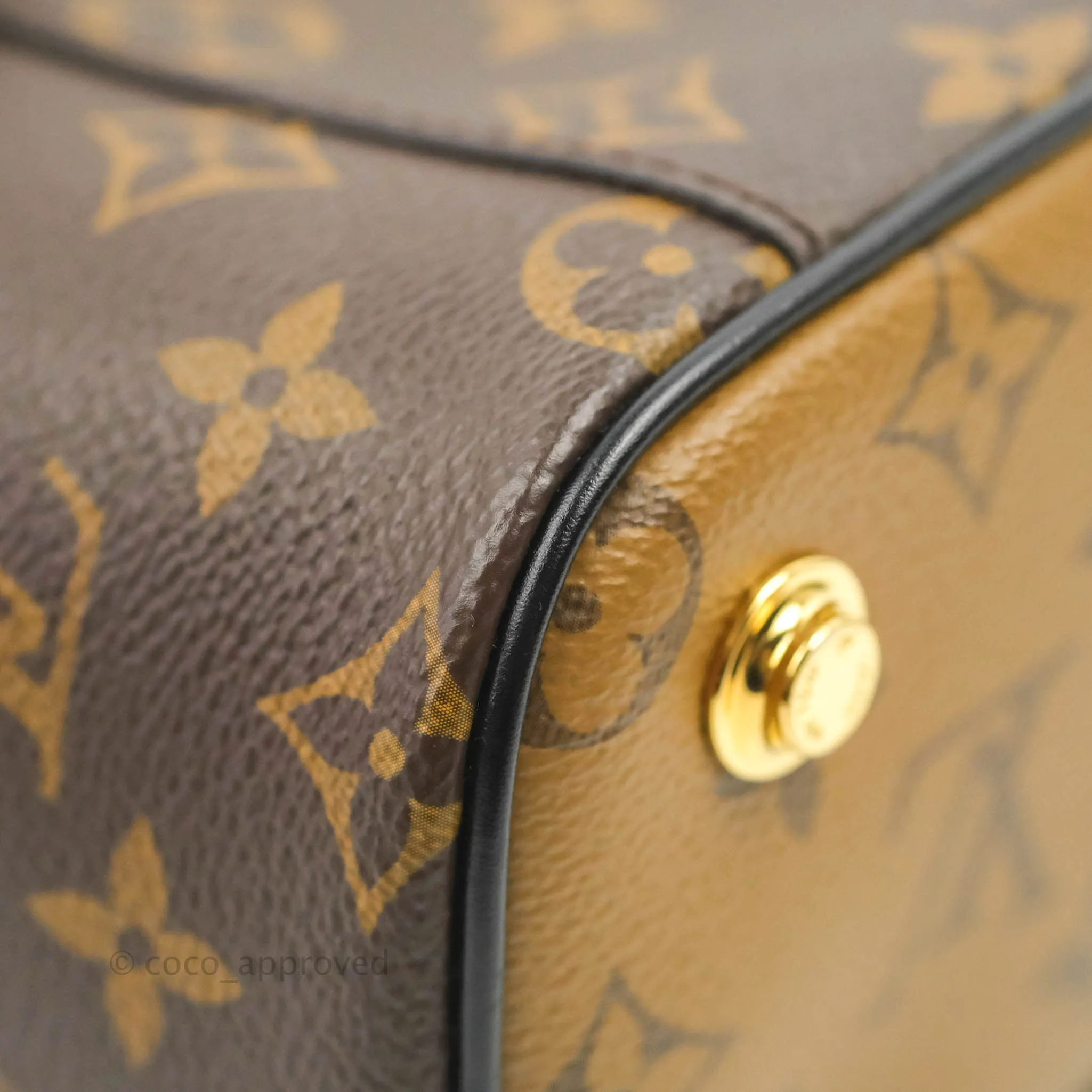Louis Vuitton Reverse Monogram Vanity PM