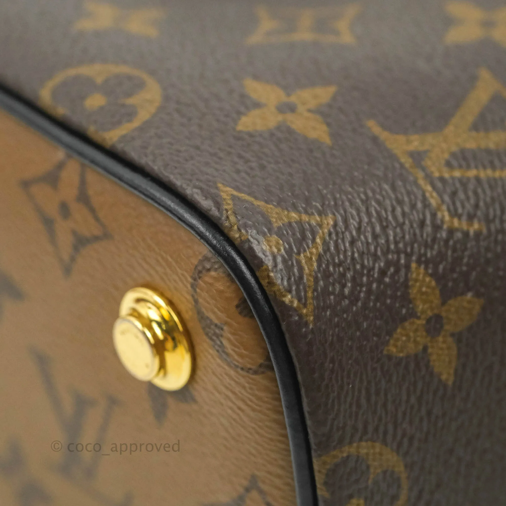 Louis Vuitton Reverse Monogram Vanity PM