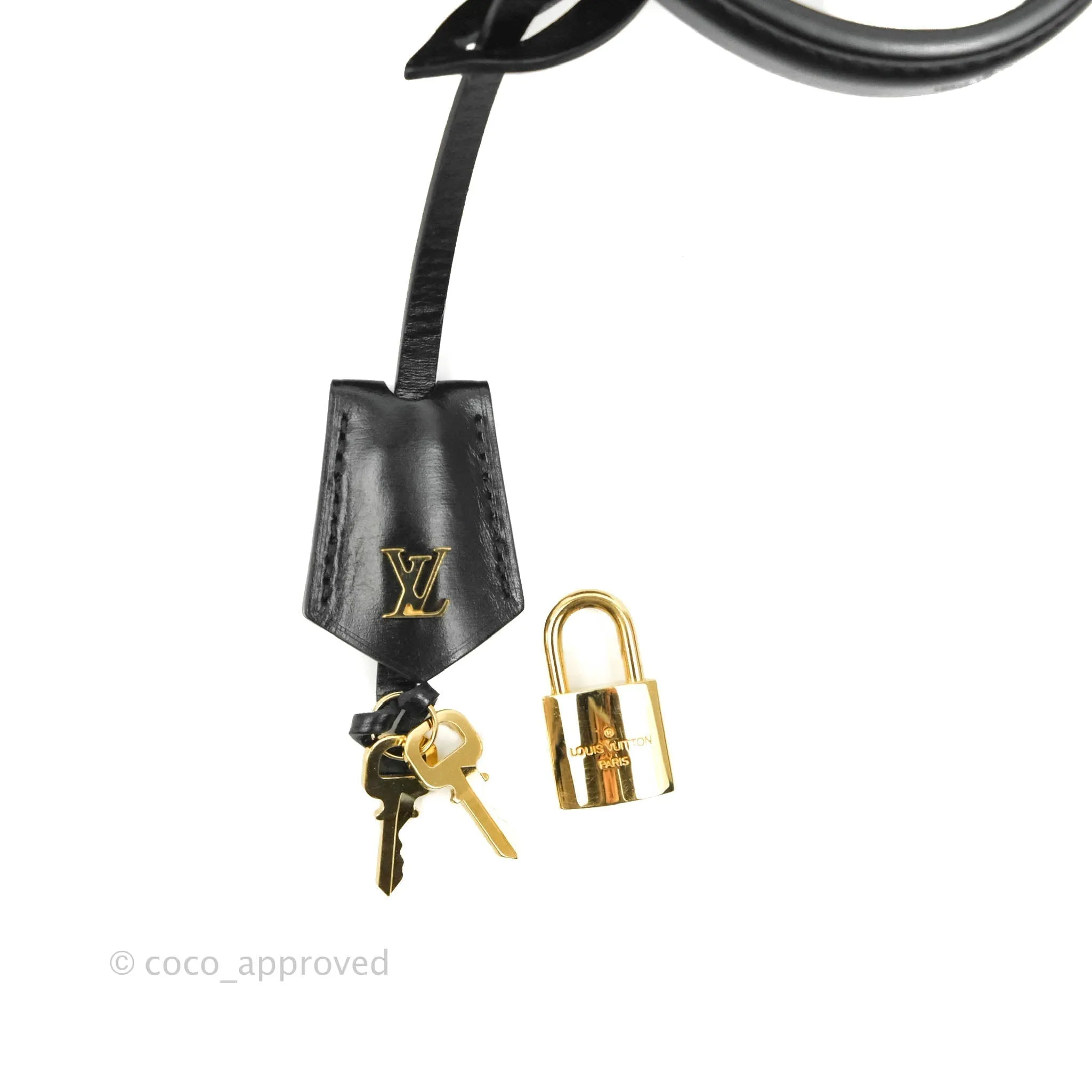 Louis Vuitton Reverse Monogram Vanity PM