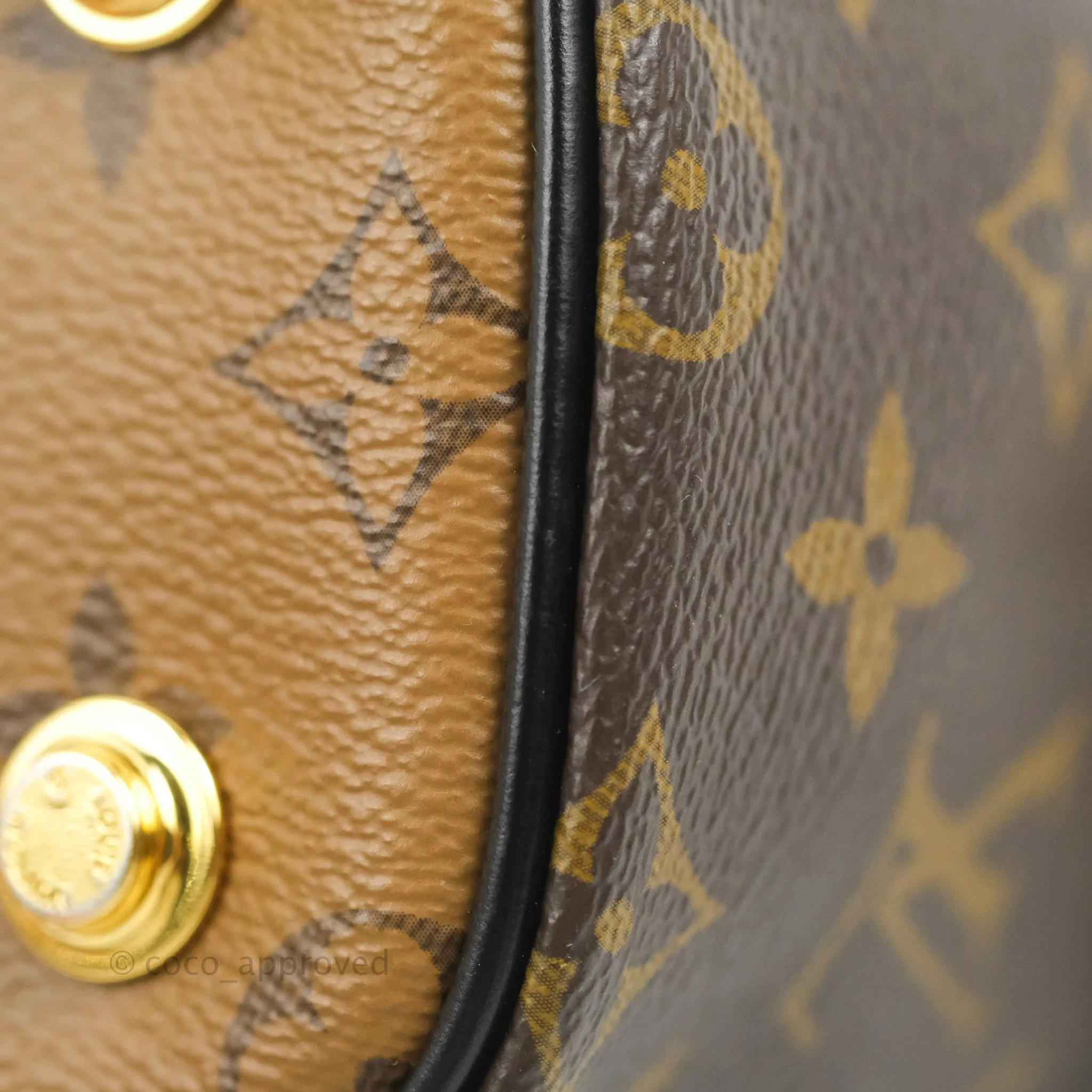 Louis Vuitton Reverse Monogram Vanity PM