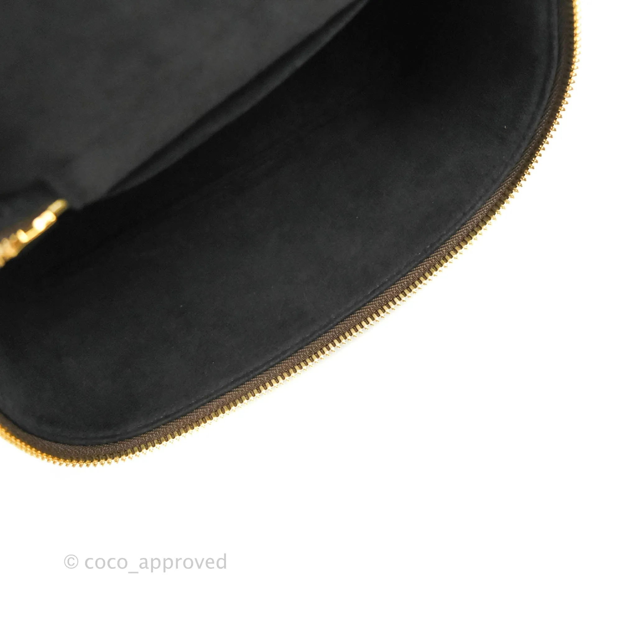 Louis Vuitton Reverse Monogram Vanity PM