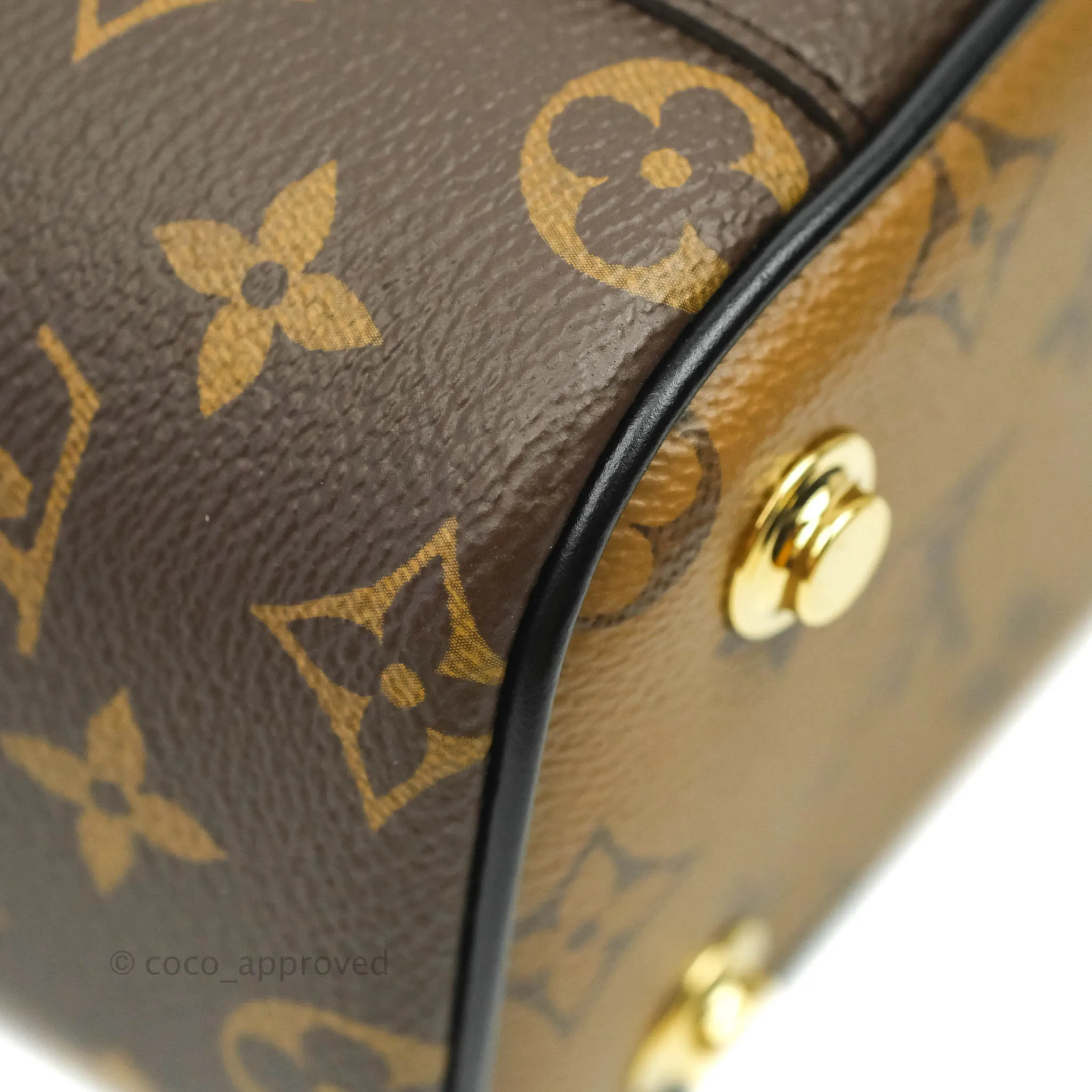 Louis Vuitton Reverse Monogram Vanity PM