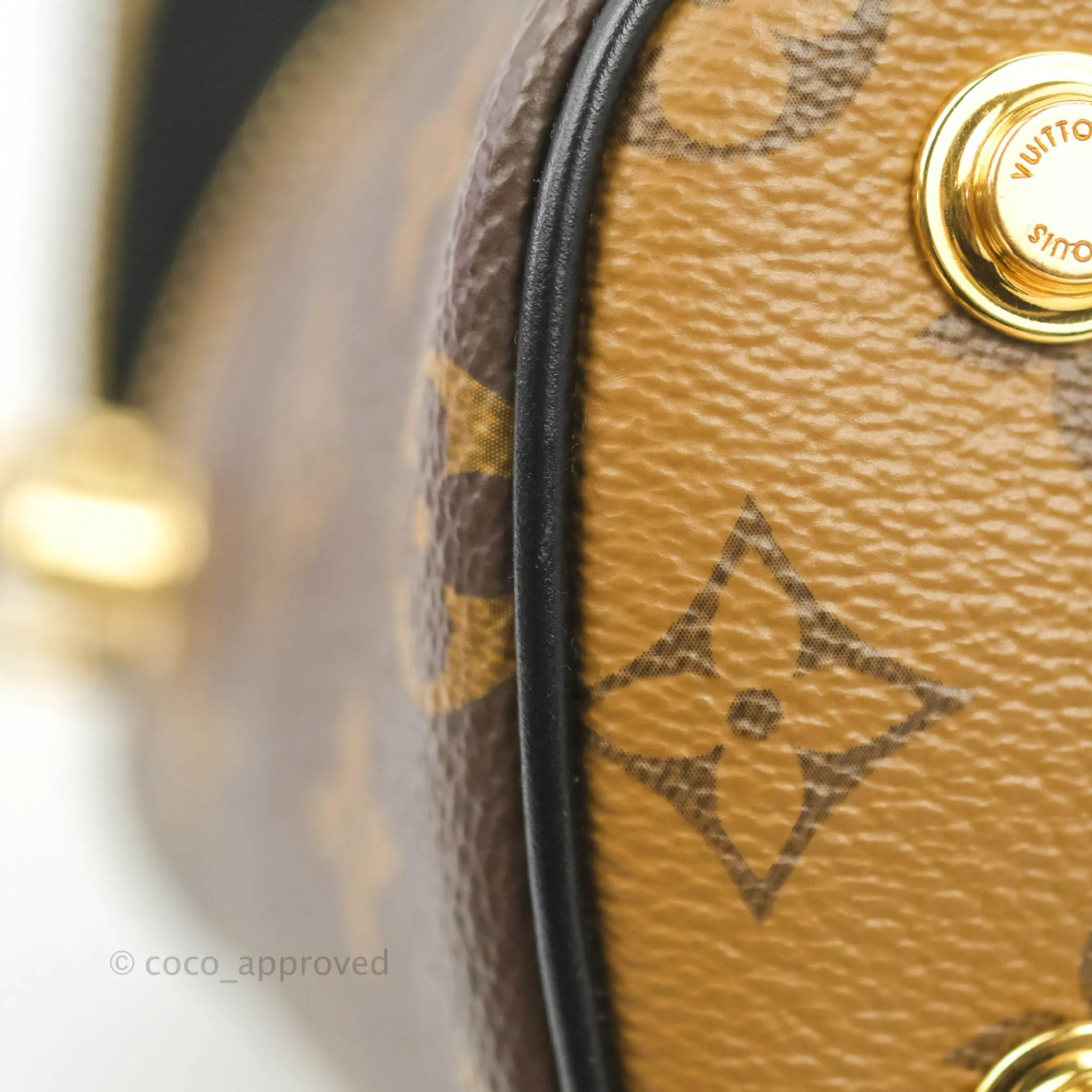 Louis Vuitton Reverse Monogram Vanity PM