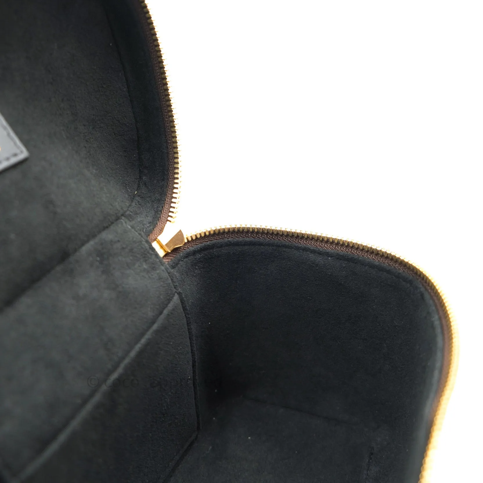 Louis Vuitton Reverse Monogram Vanity PM