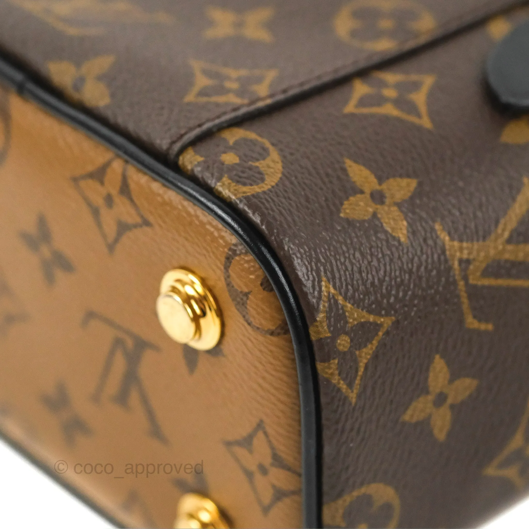 Louis Vuitton Reverse Monogram Vanity PM