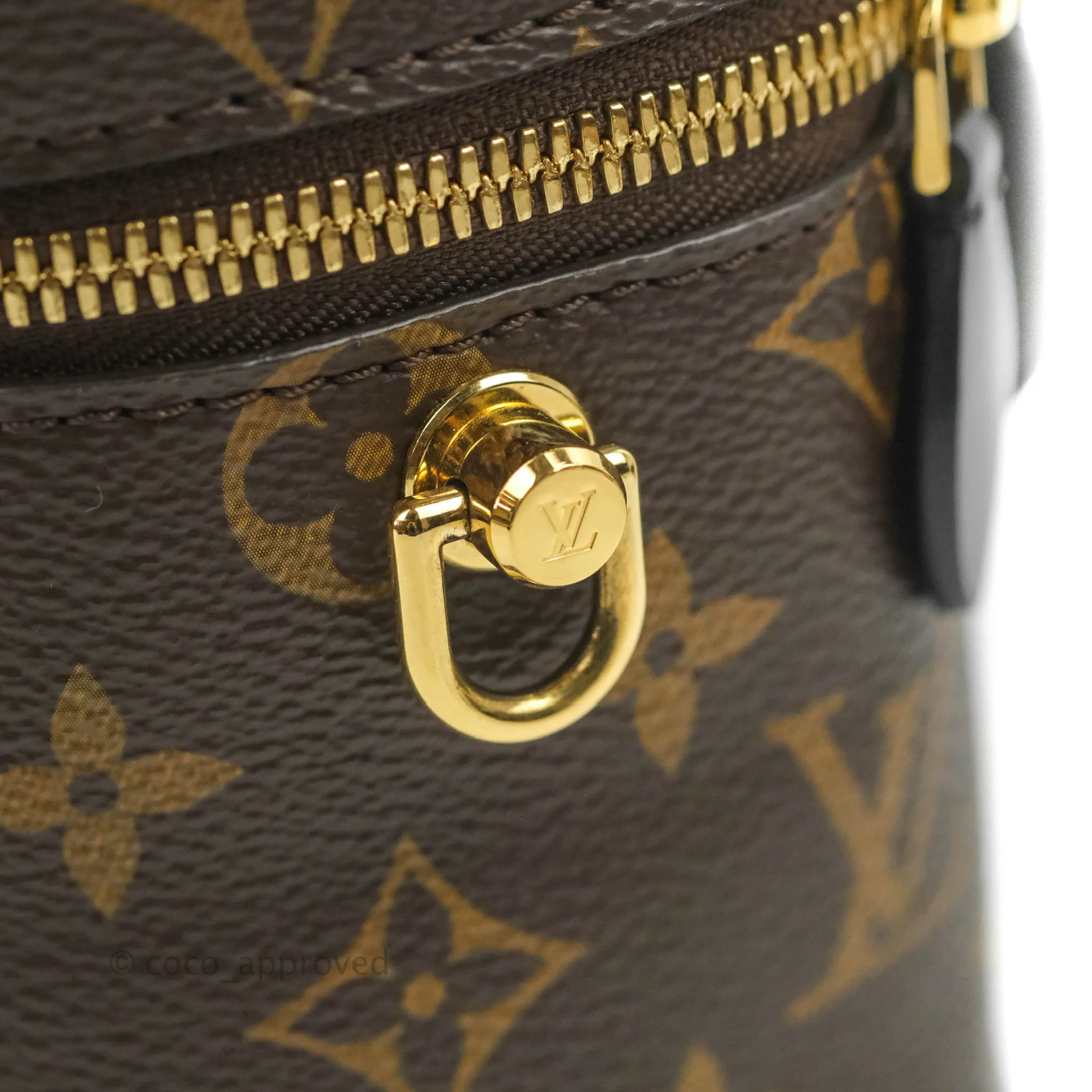 Louis Vuitton Reverse Monogram Vanity PM