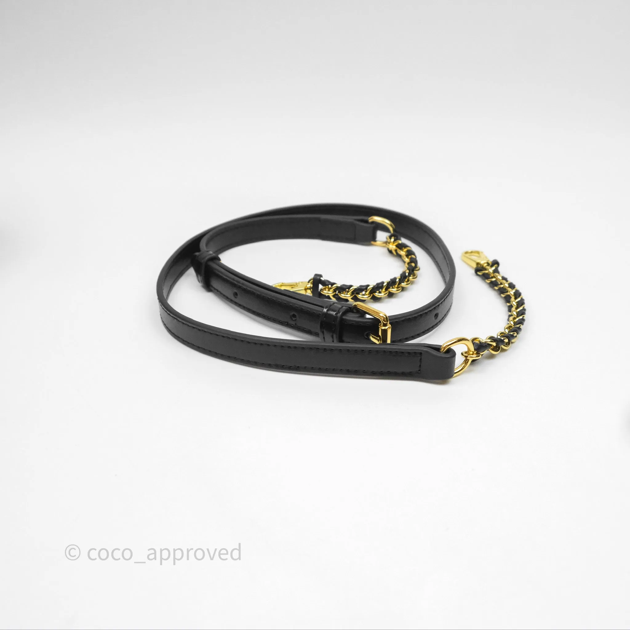 Louis Vuitton Reverse Monogram Vanity PM