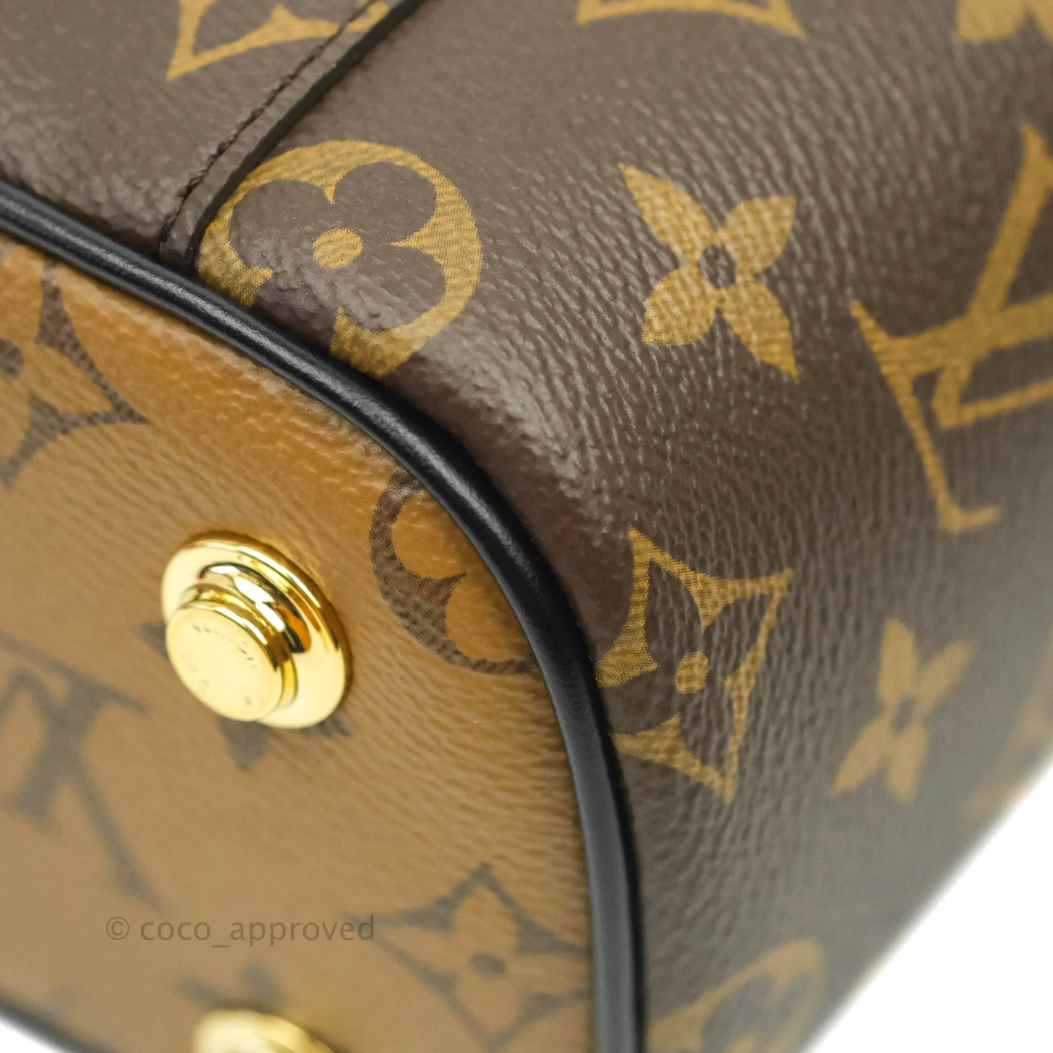 Louis Vuitton Reverse Monogram Vanity PM