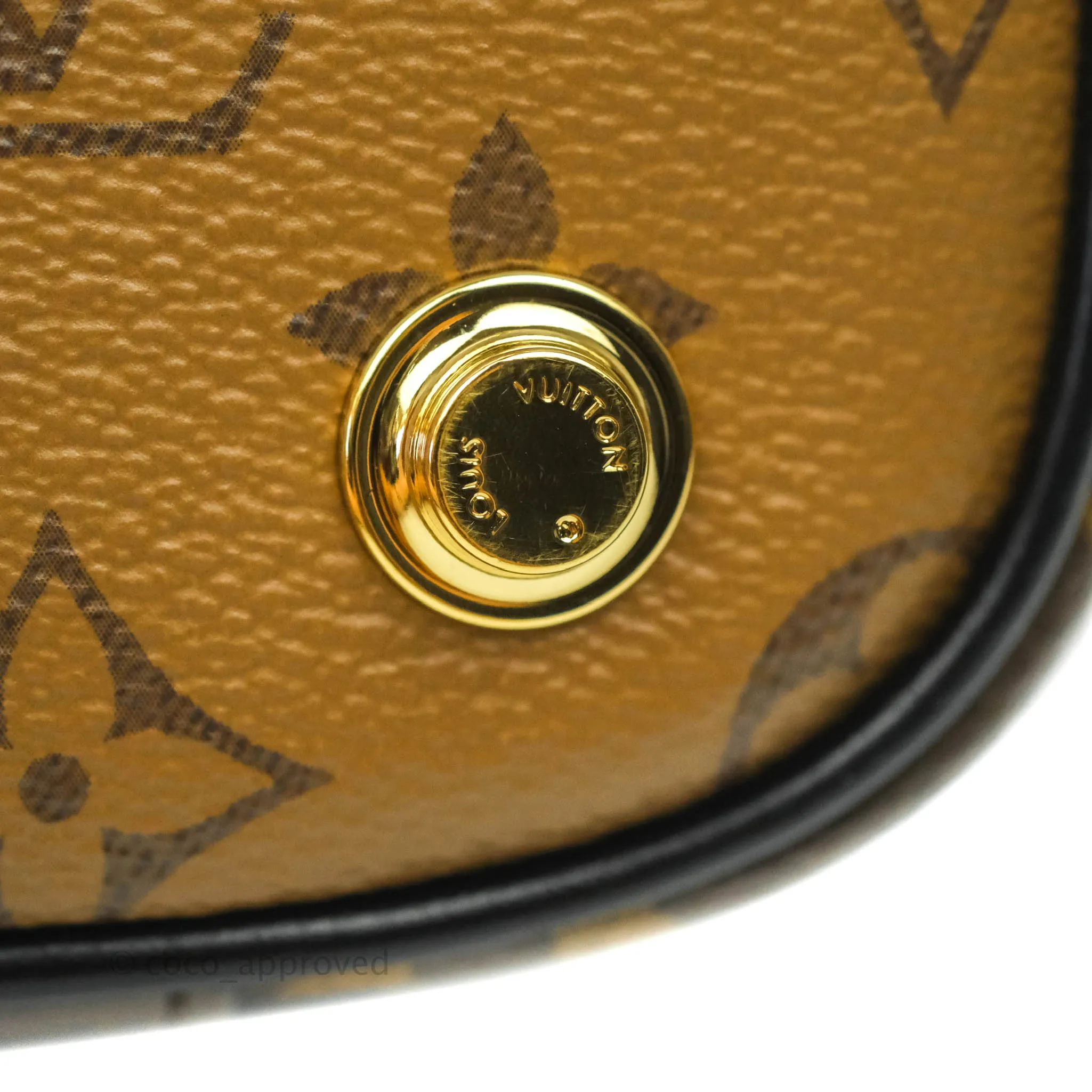 Louis Vuitton Reverse Monogram Vanity PM