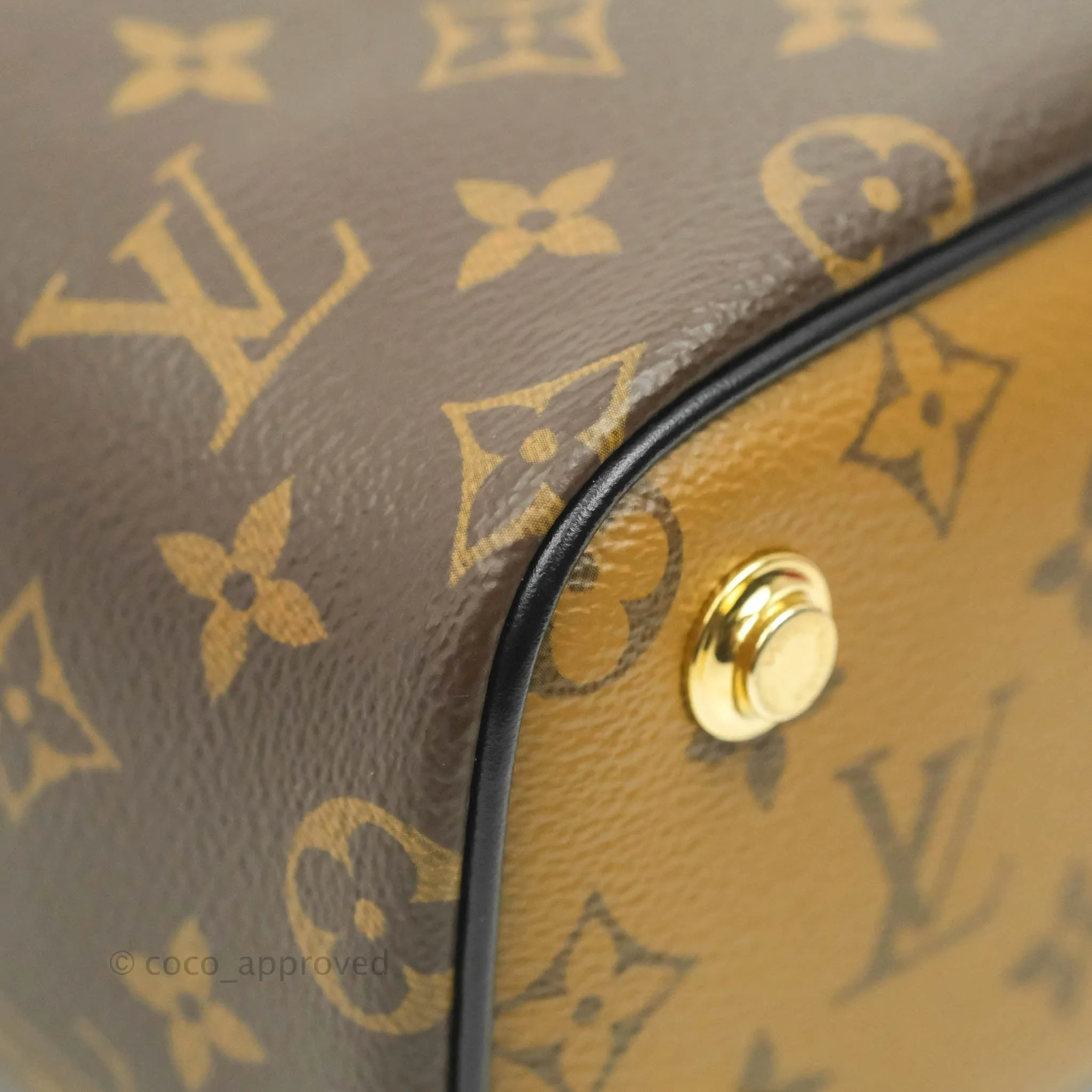 Louis Vuitton Reverse Monogram Vanity PM