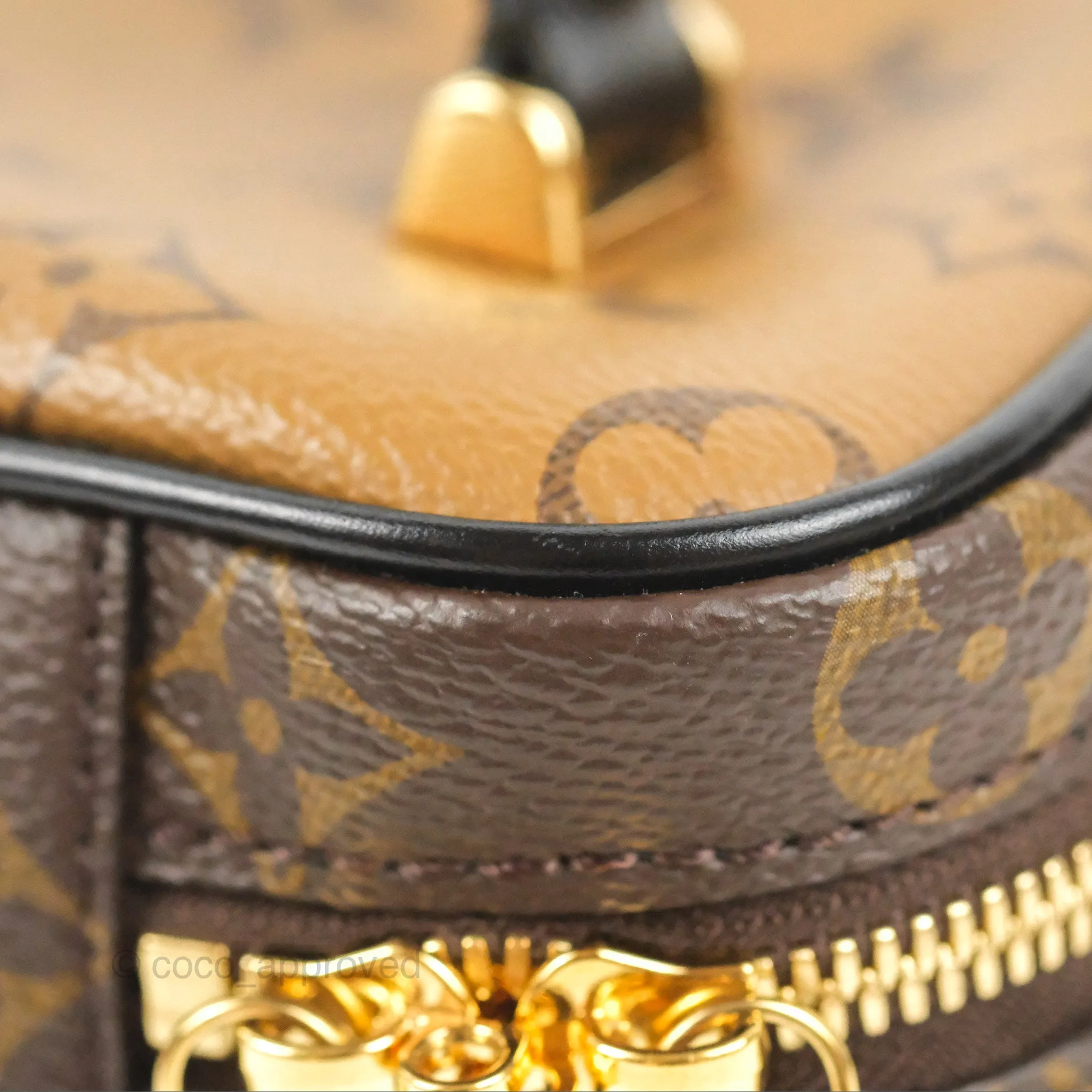 Louis Vuitton Reverse Monogram Vanity PM