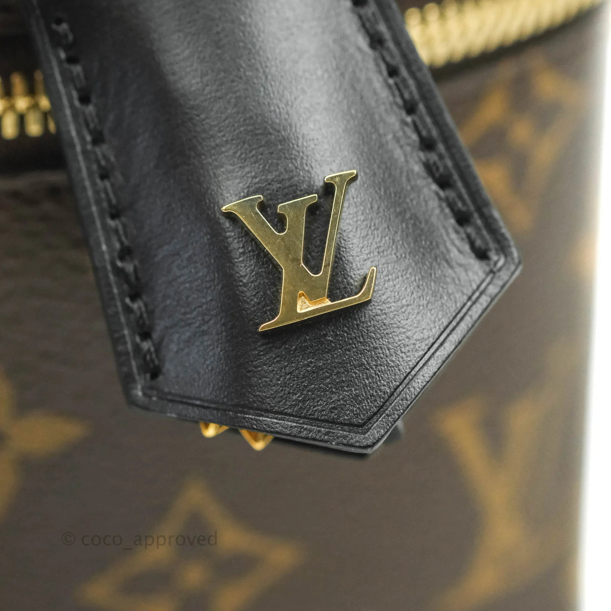 Louis Vuitton Reverse Monogram Vanity PM
